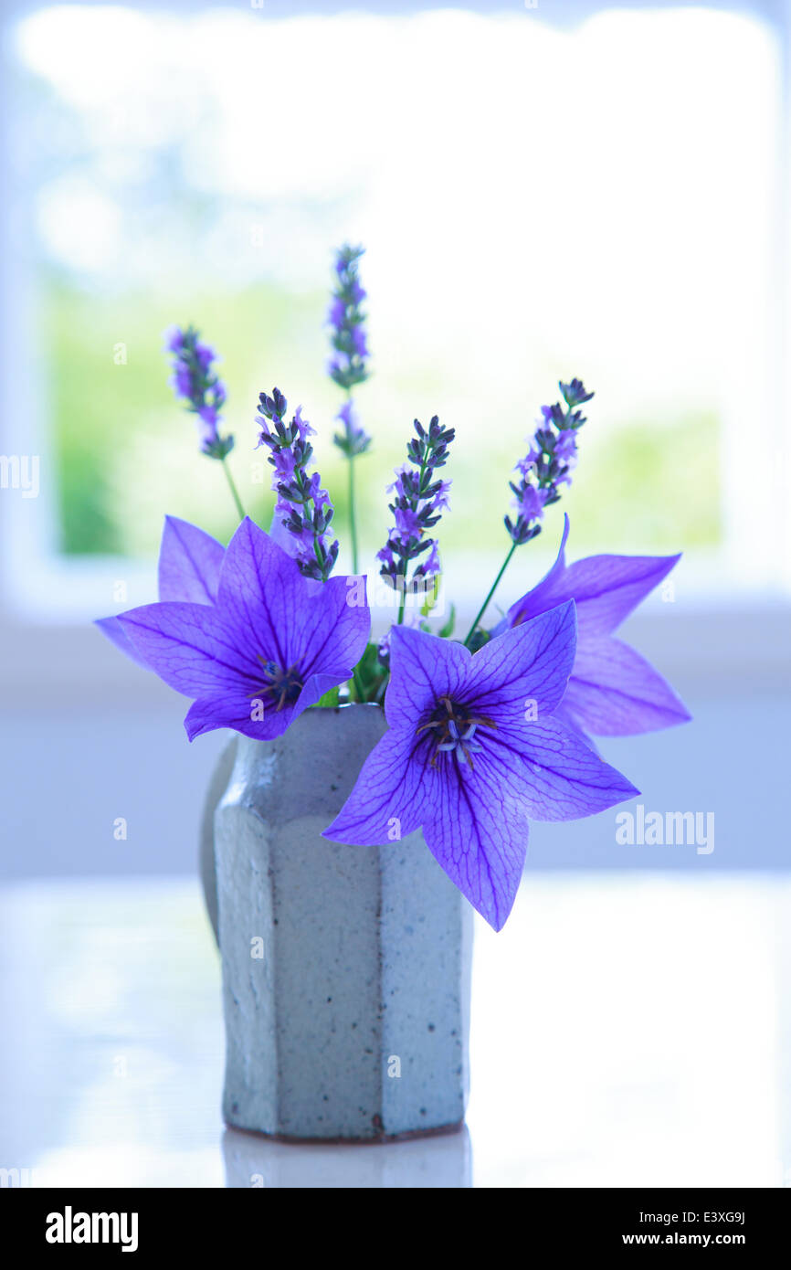 Flowers in a vase Stock Photo