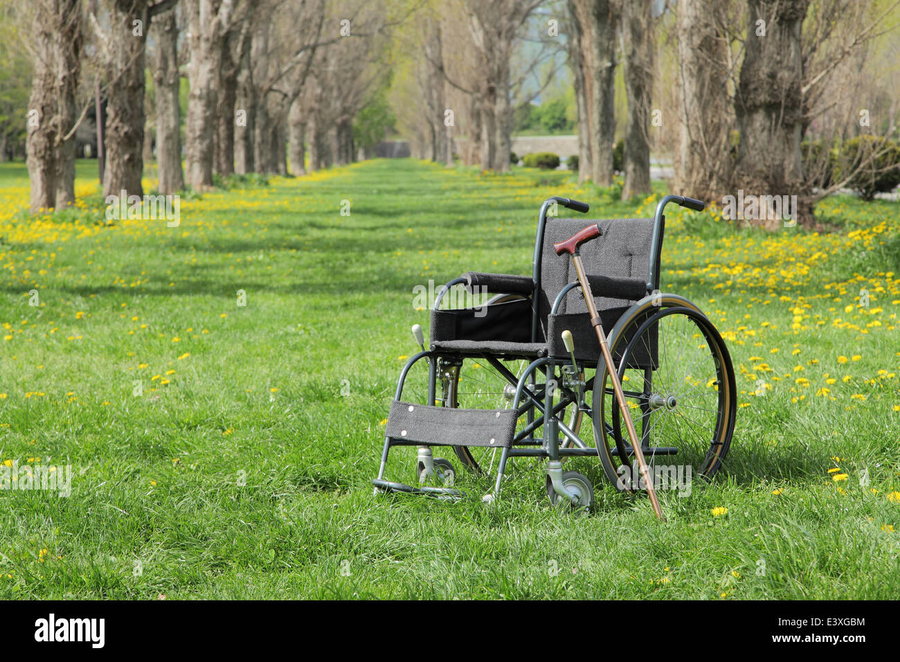 Wheelchair on grass Stock Photo Alamy