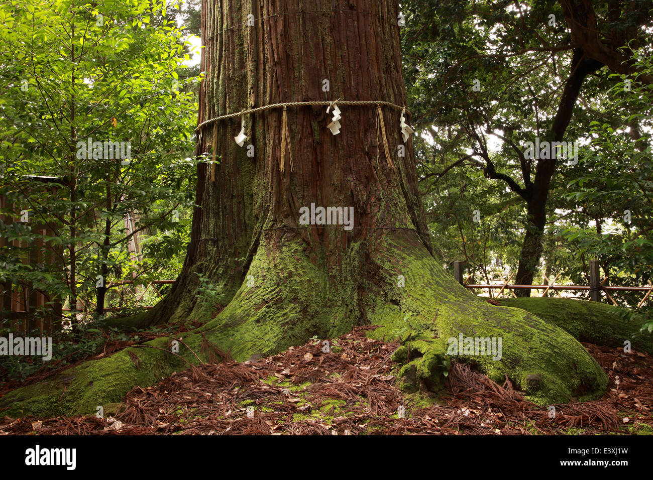 Shimane Prefecture, Japan Stock Photo