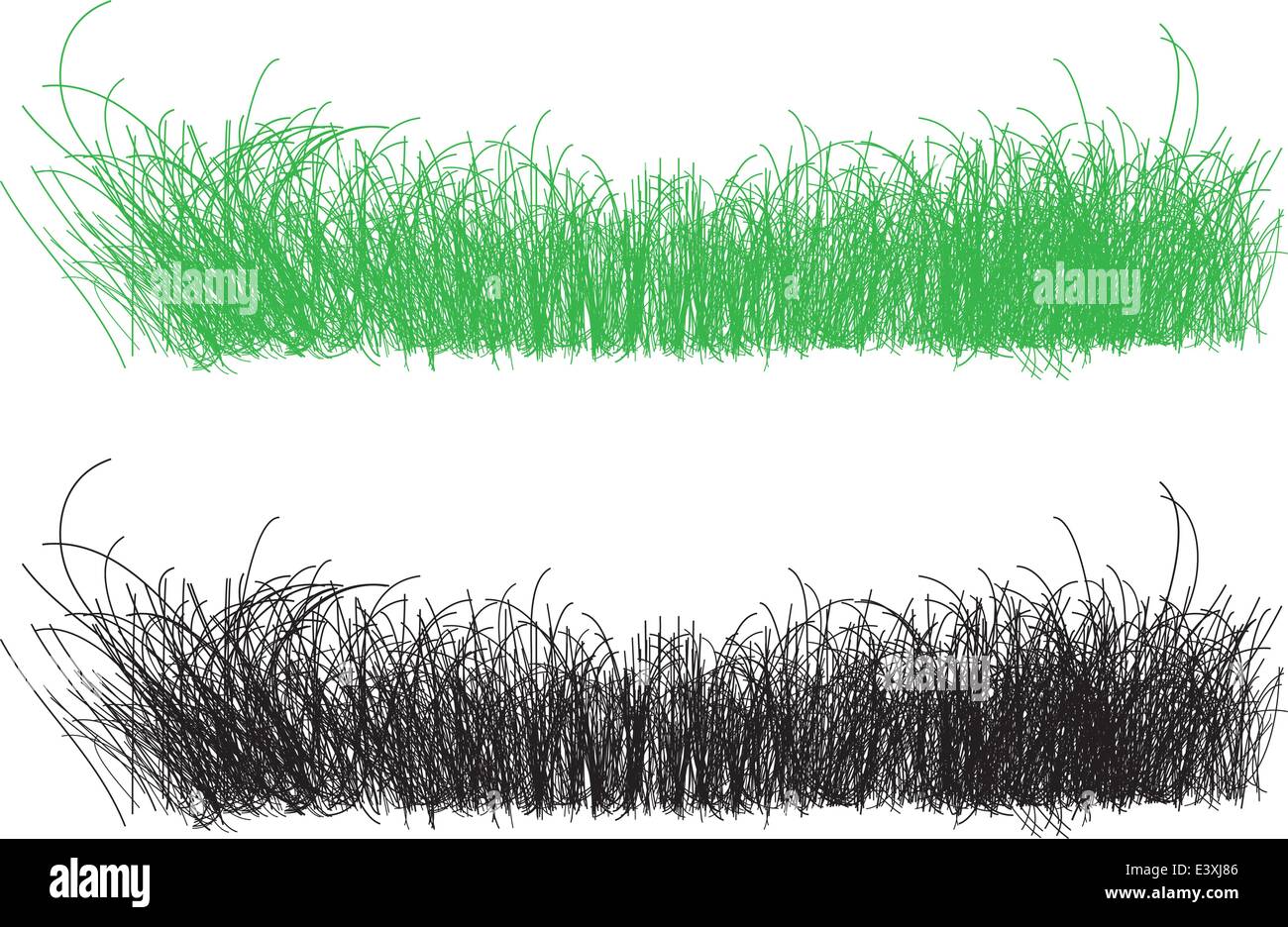 vector illustraion of grass silhouette Stock Vector