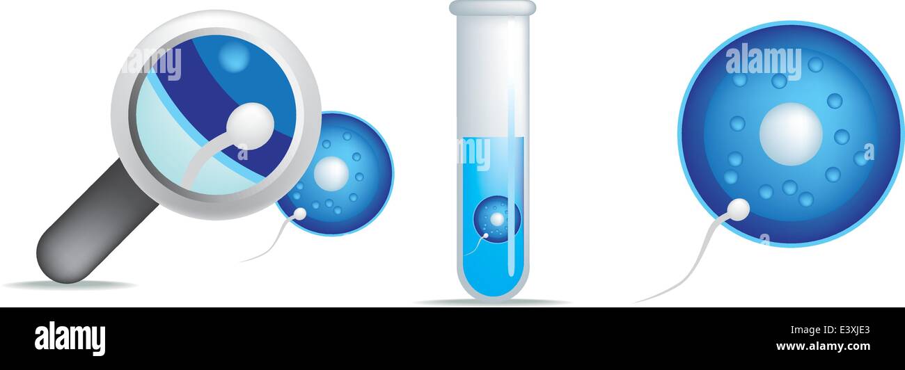 test tube ivf baby creation in science laboratory Stock Vector Image
