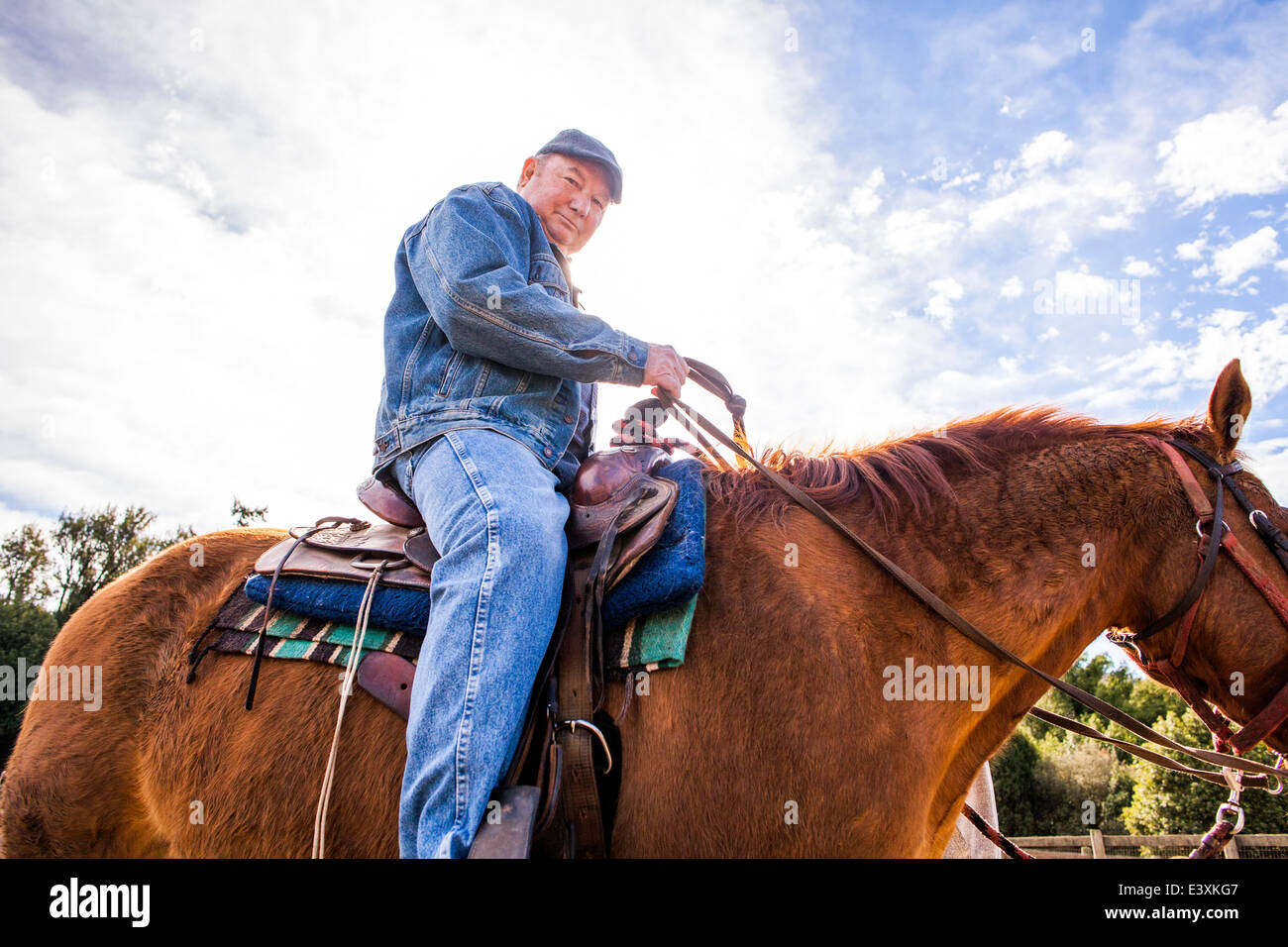 Caucasian rancher riding horse outdoors Stock Photo Alamy