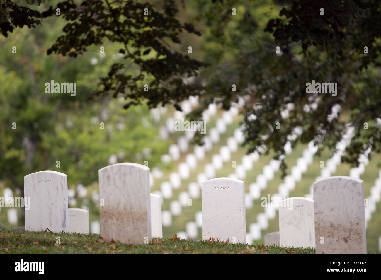 White headstones overlooking military cemetery, Arlington, Virginia, United States Stock Photo