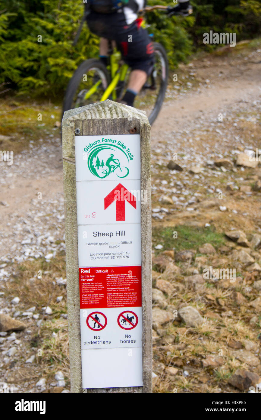 Off road mountain bike tracks in Gisburn forest at Tosside, Lancashire