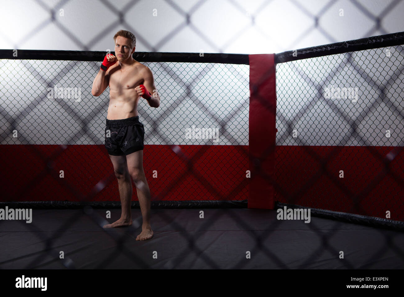 Cage fighting hires stock photography and images Alamy