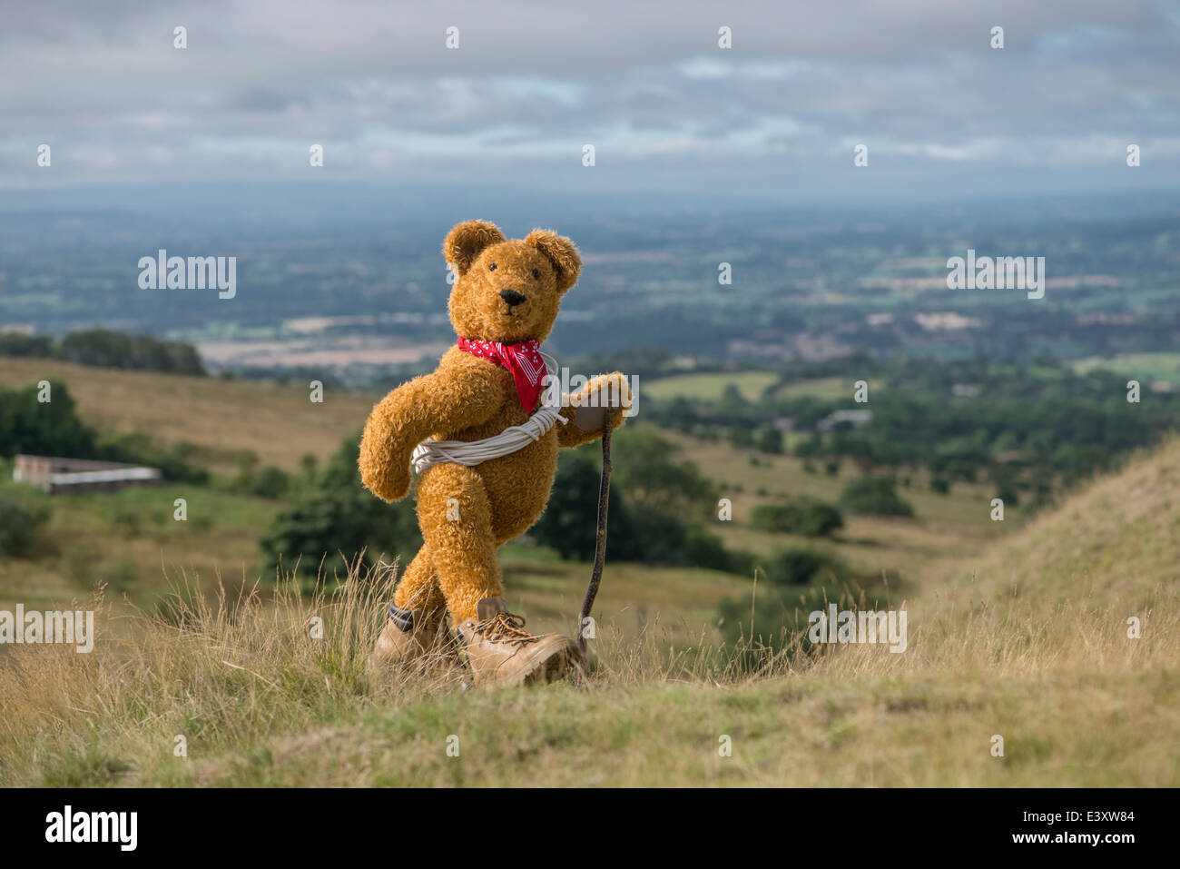 Teddy bear on Clee Hill in Shropshire. Stock Photo