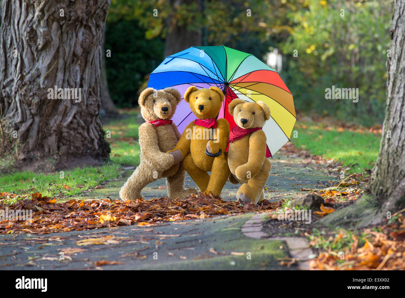 Three teddy bears in the park with umbrella. Fallen leaves, falling leaves. foot path, autumn, fall, Stock Photo