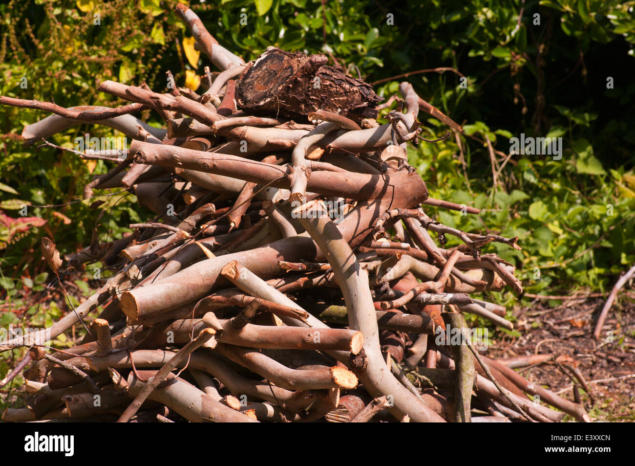 Pile Of Cut Branches Stack Of Logs Stock Photo Alamy