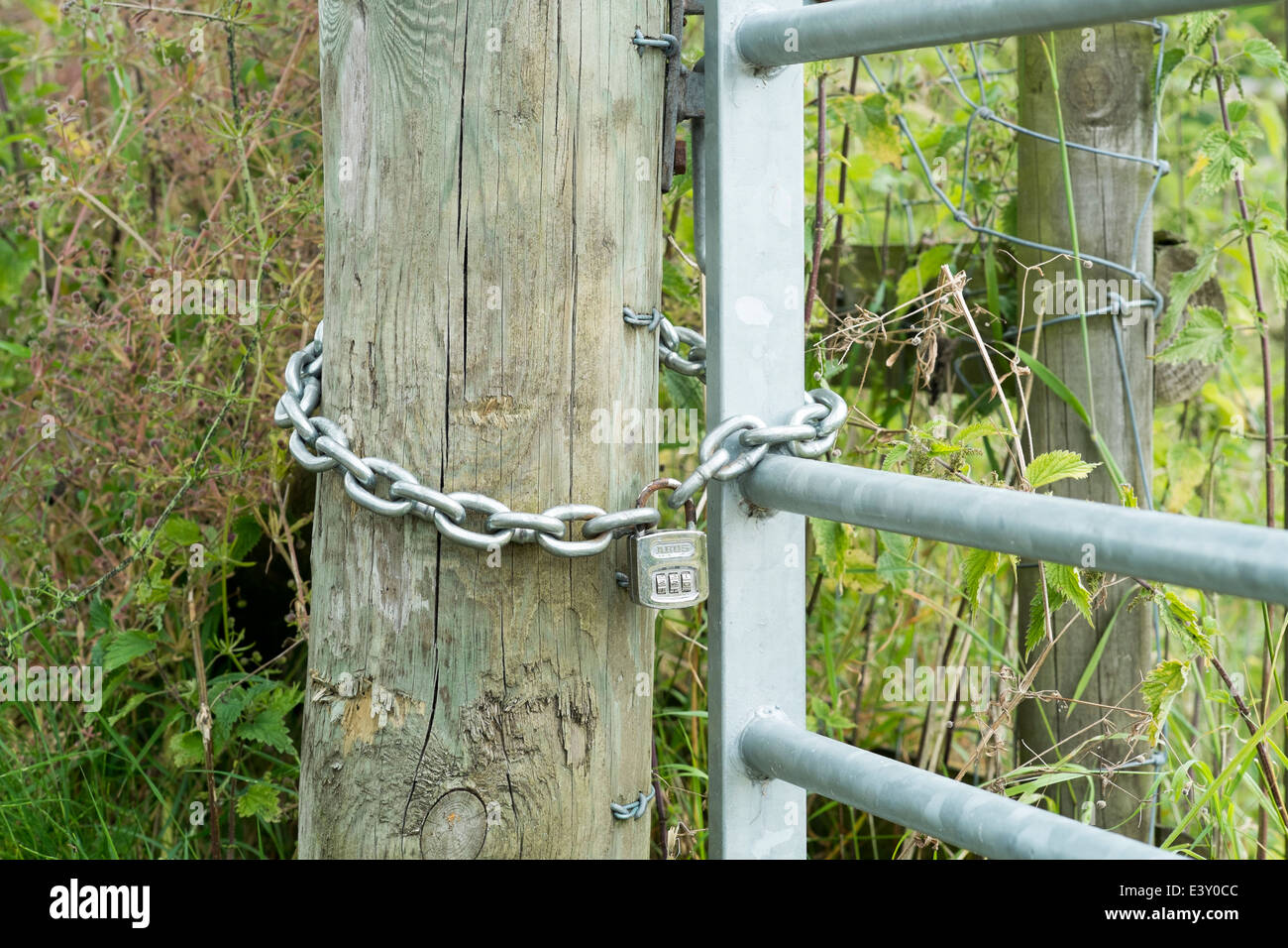 Combination padlock and chain on galvanized steel metal gate and post