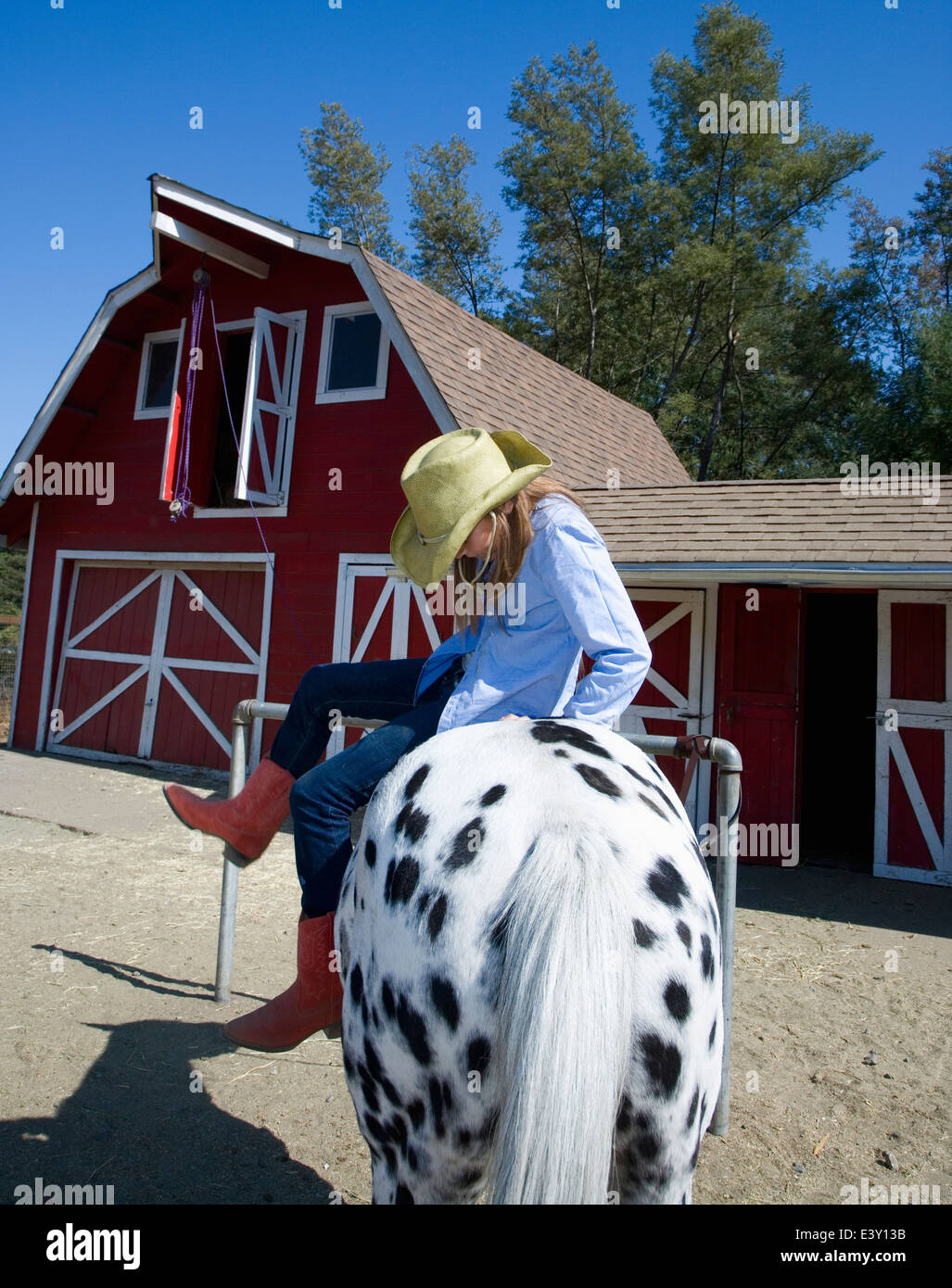 Mixed race girl riding horse on ranch Stock Photo
