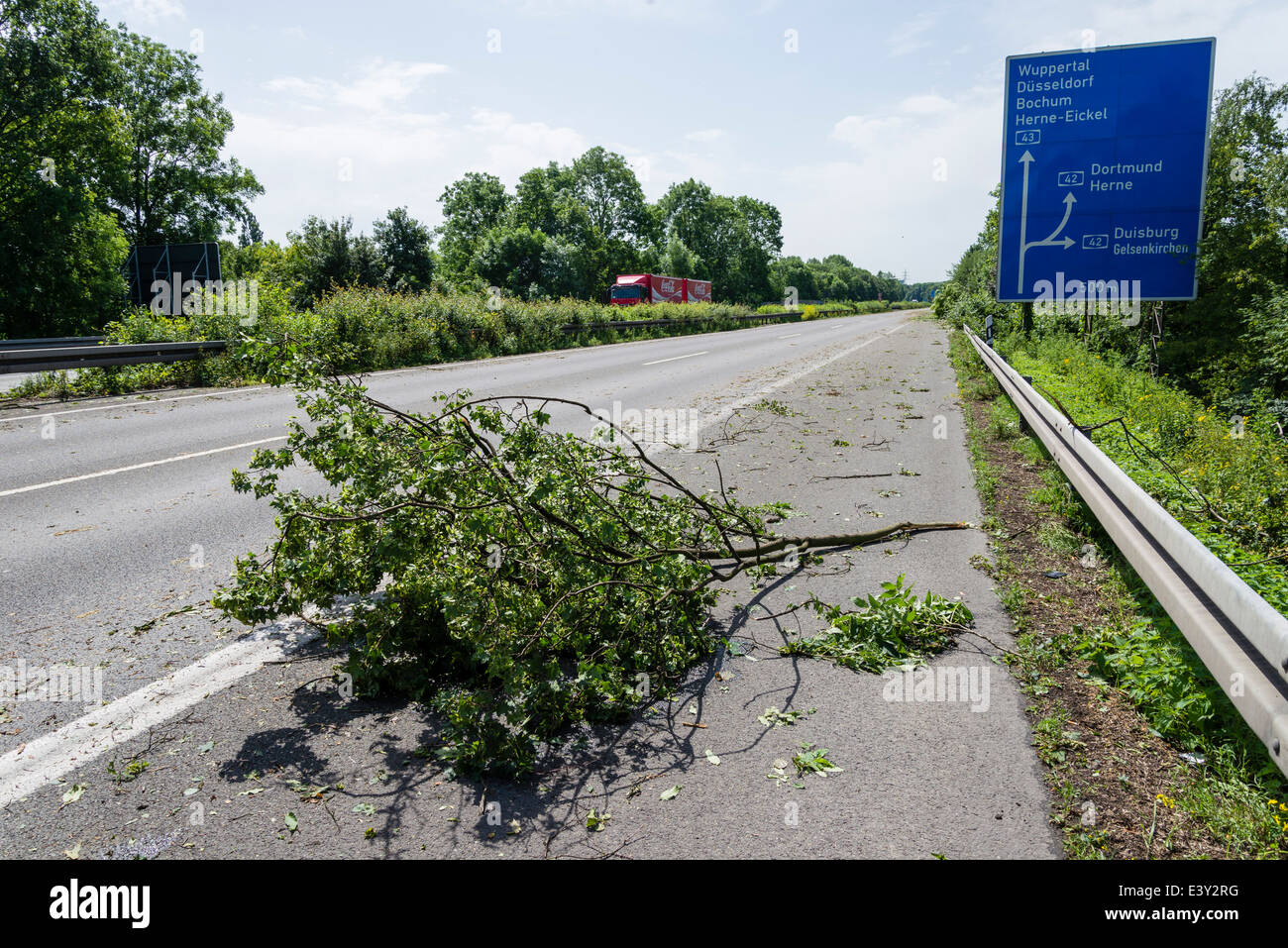 Fallen branches lay on the A43 motorway in Herne, Ruhr area, Western Germany, after the severe storm front Ela Stock Photo