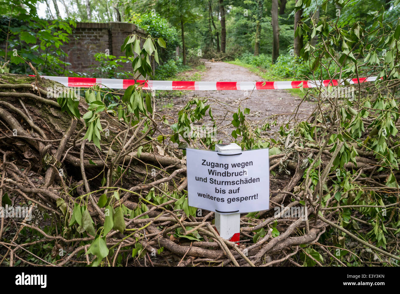 A forest in Waltrop is inaccessible and closed after thunderstorm Ela, a  severe thunderstorm in the evening of June, 9th, 2014 Stock Photo - Alamy