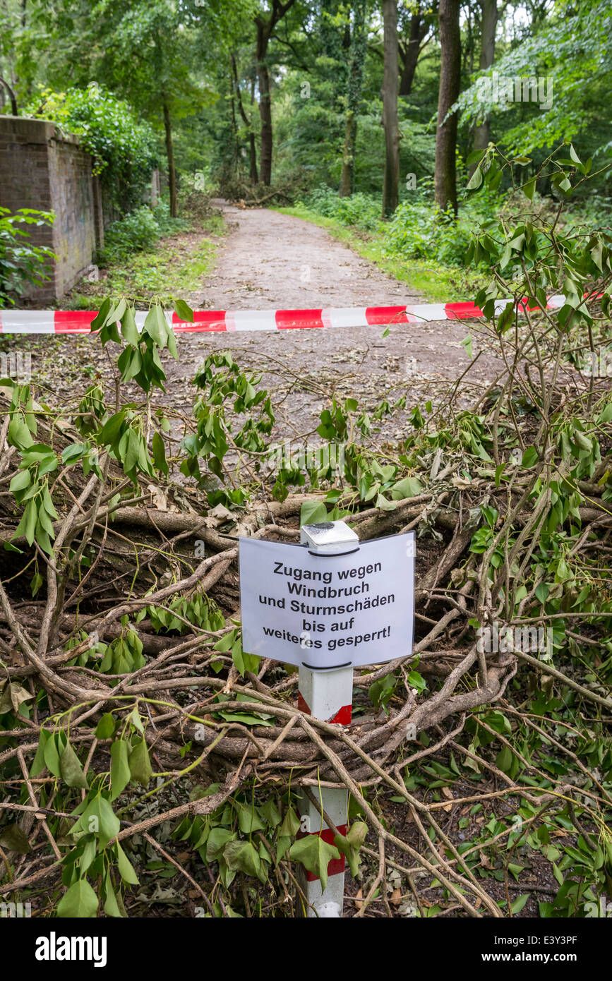 Forest Inaccessible A forest in Waltrop is inaccessible and closed after thunderstorm Ela ...