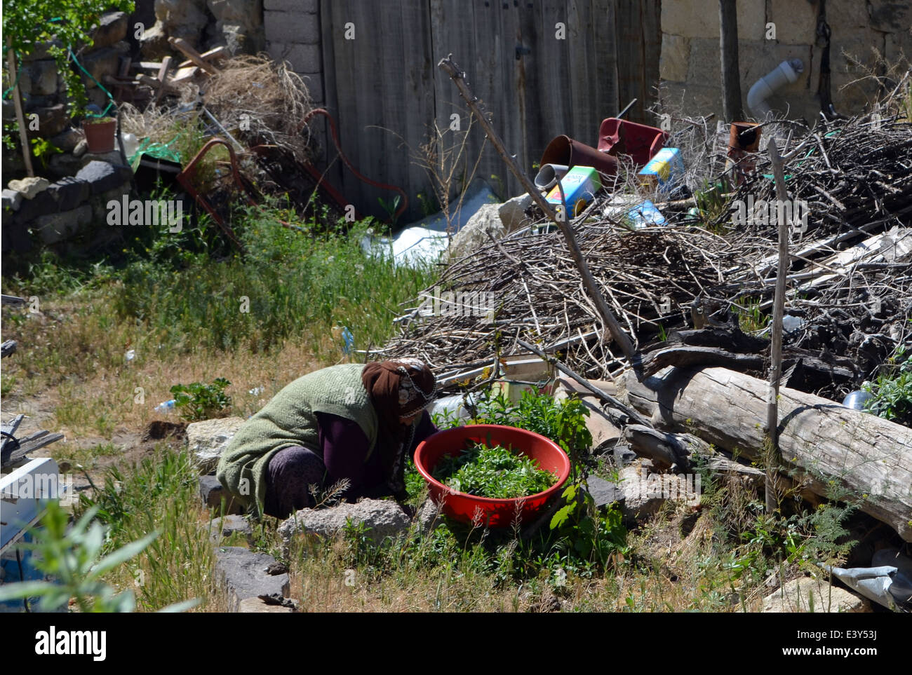 An elderly lady tends the produce of some run down housing in Capadoccia.Central Turkey. Stock Photo