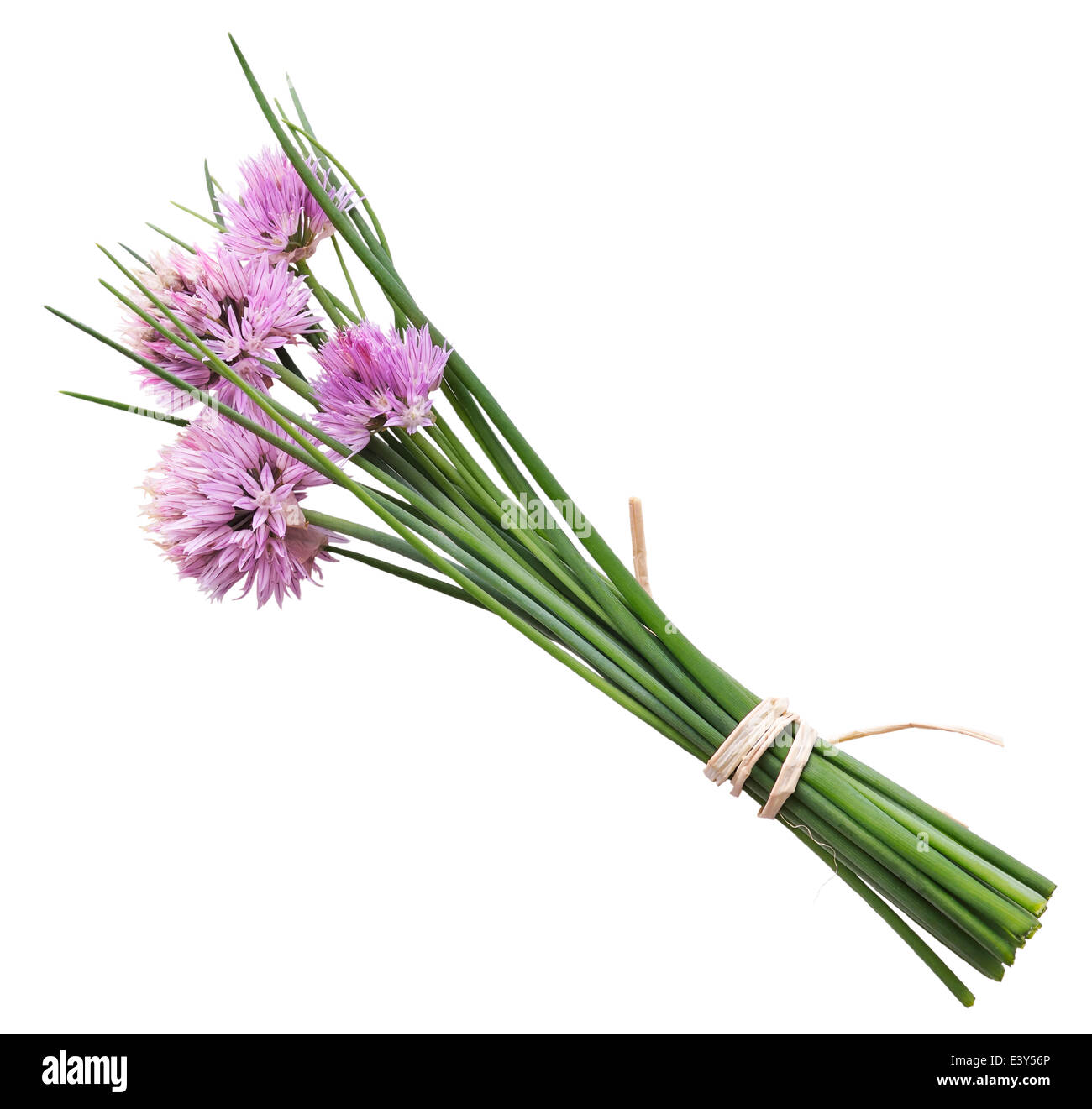 Chives With Flowers Isolated On White Background Stock Photo Alamy