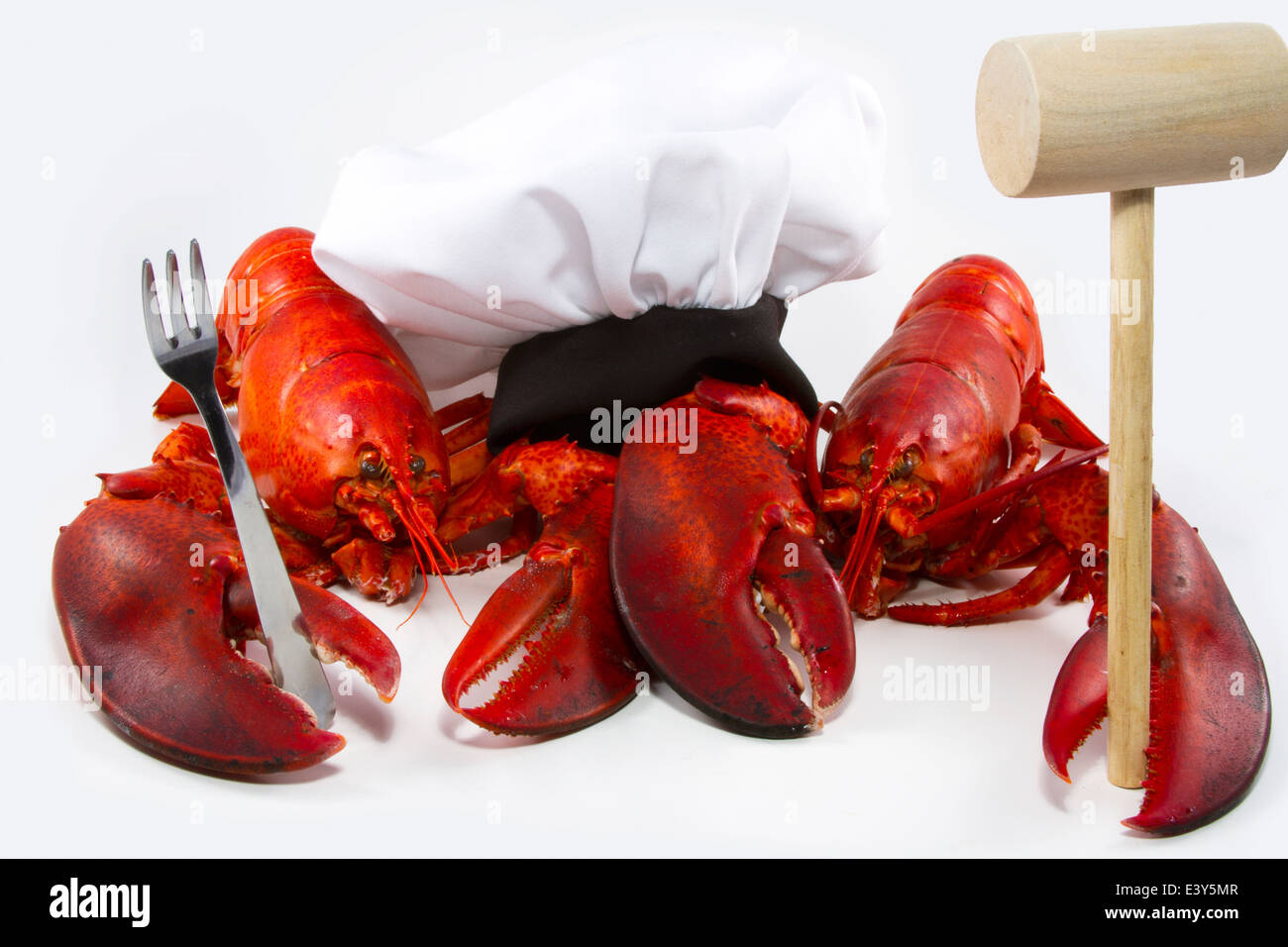 Two cooked lobsters with seafood fork and mallet and a chef's hat Stock Photo