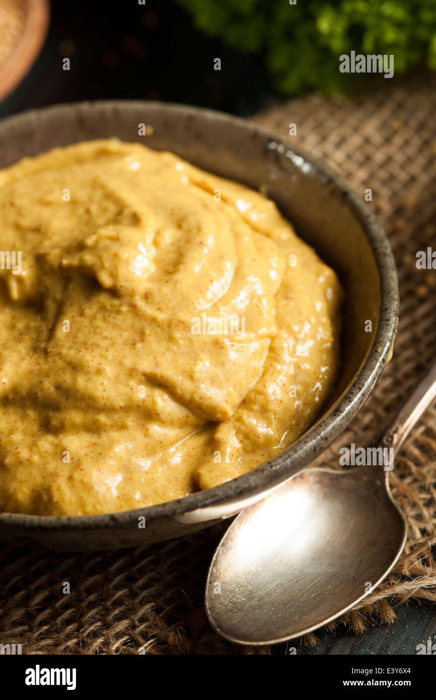 Homemade Spicy Mustard Sauce on a Background Stock Photo