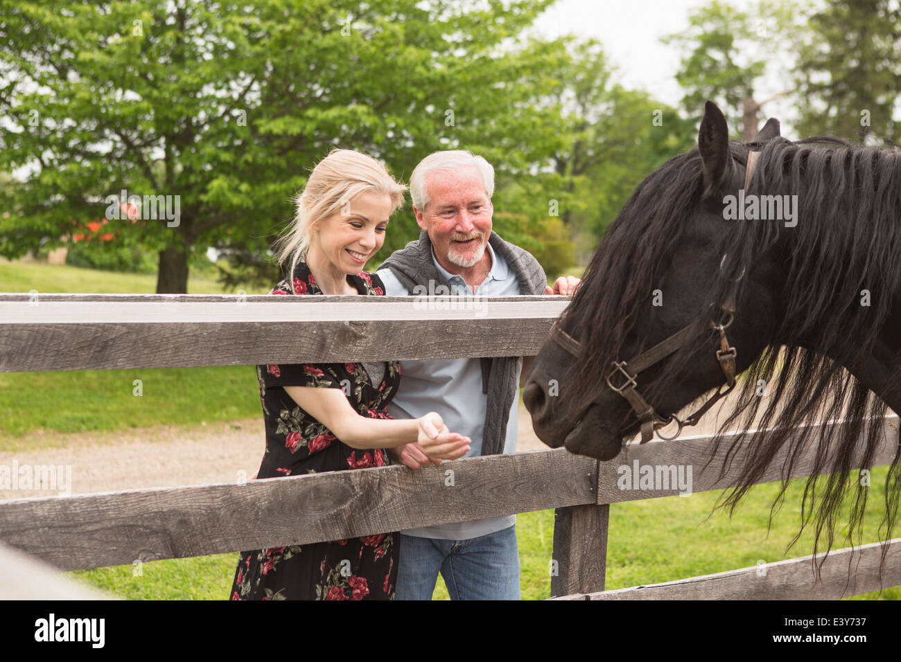 Mature couple feeding horse through fence Stock Photo