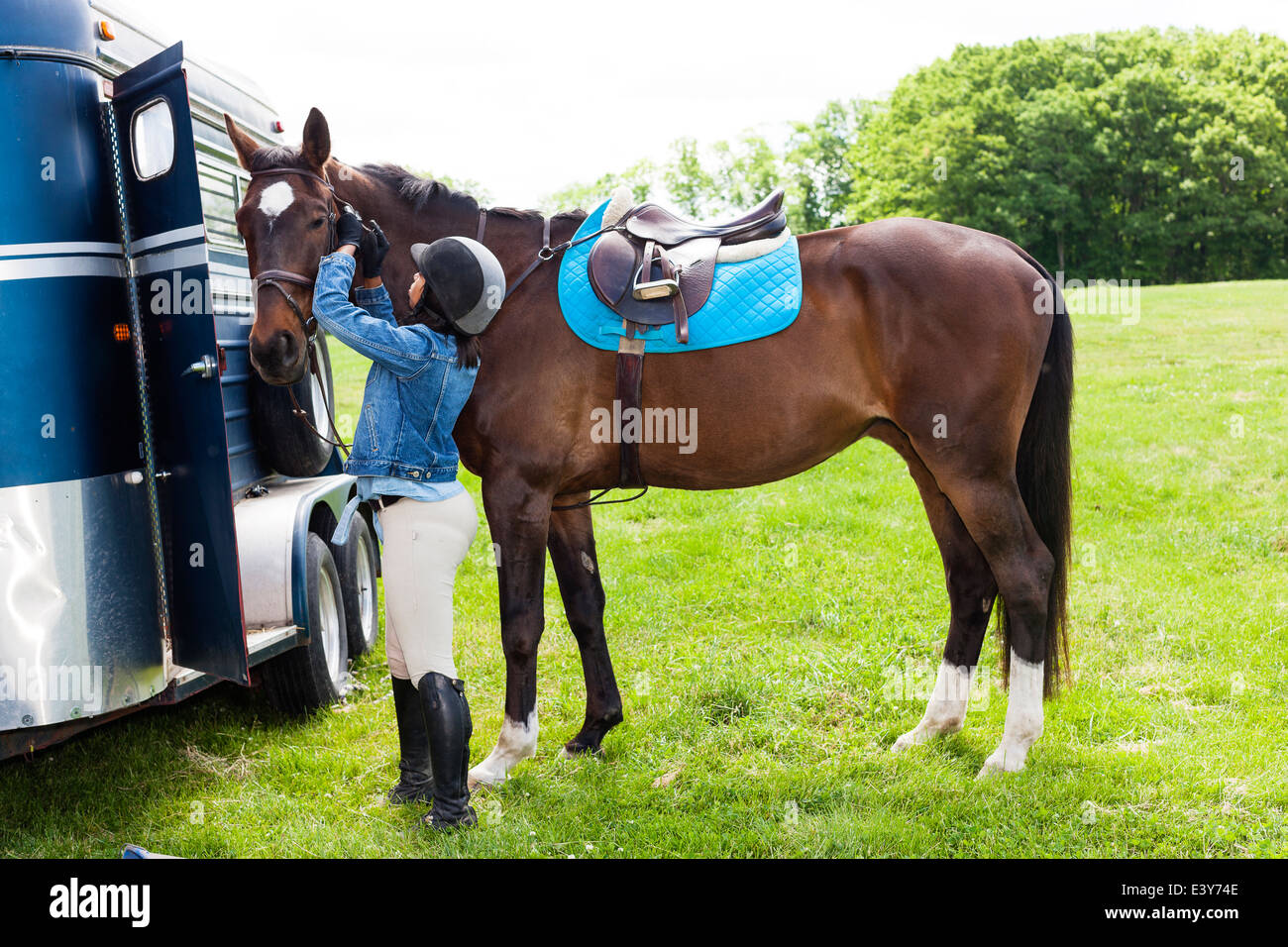 Horse rider putting on horse's bridle Stock Photo