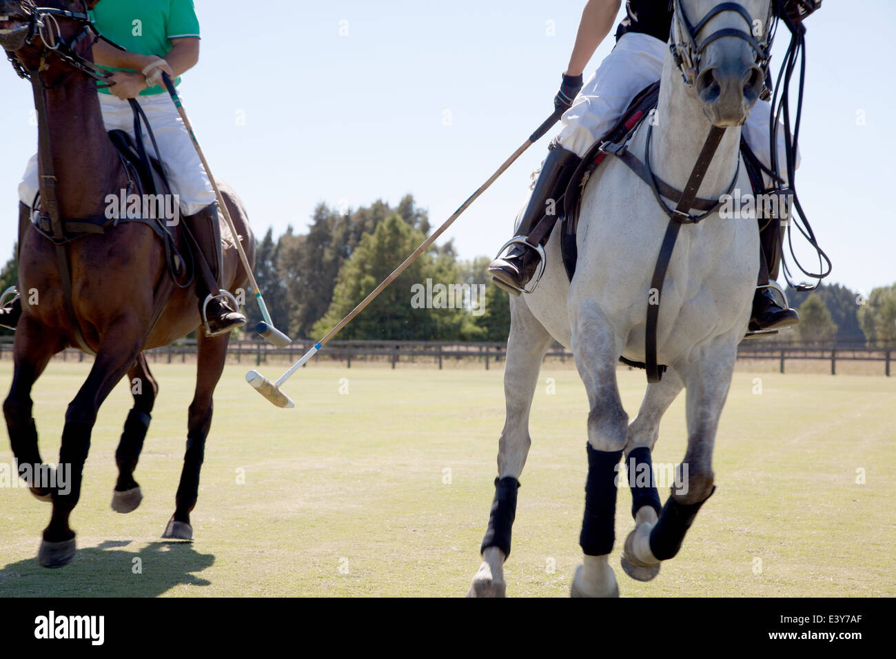 Two adult men playing polo Stock Photo