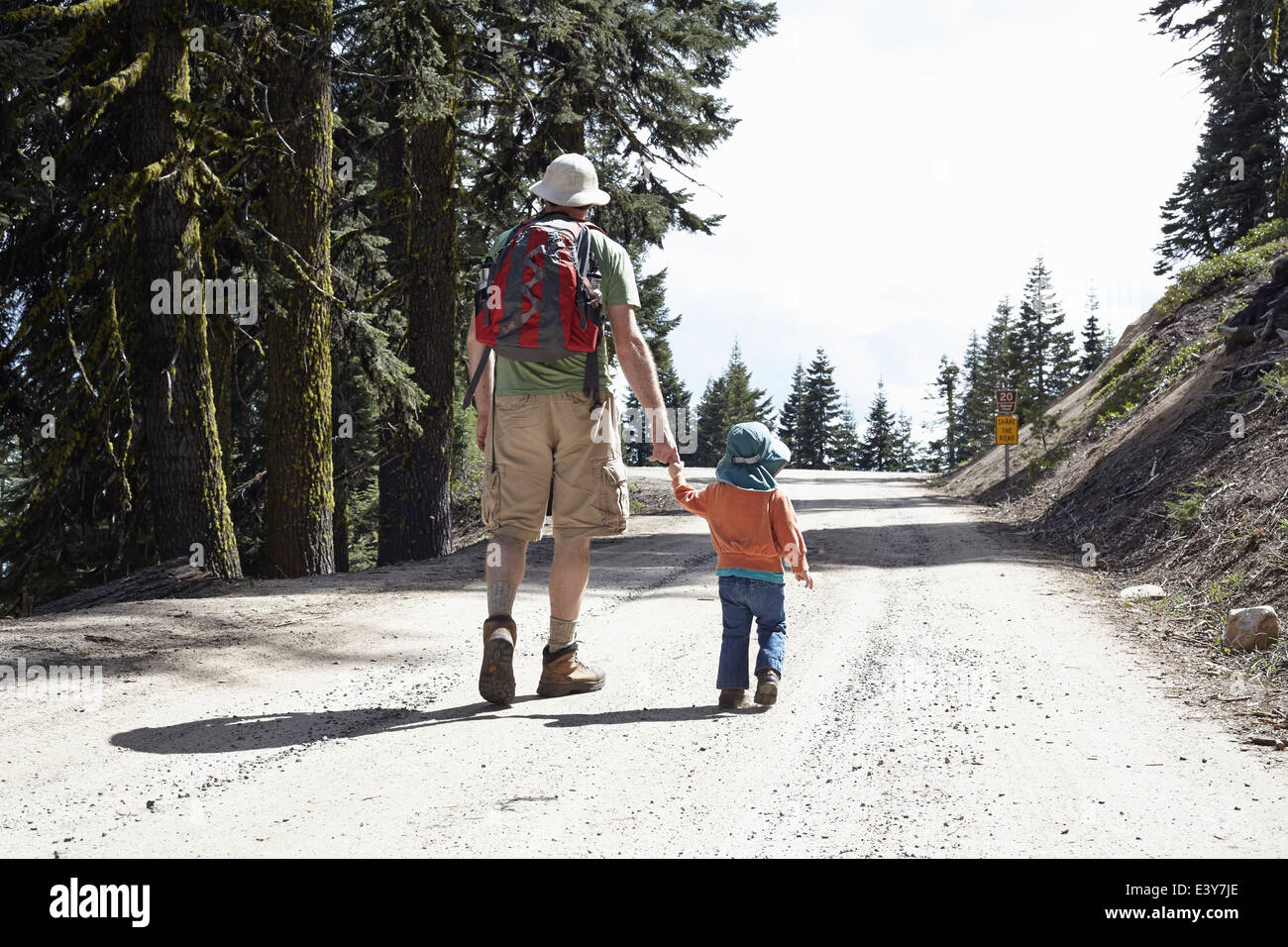 Rear view of father and daughter, holding hands walking through forest in Oregon, USA Stock Photo