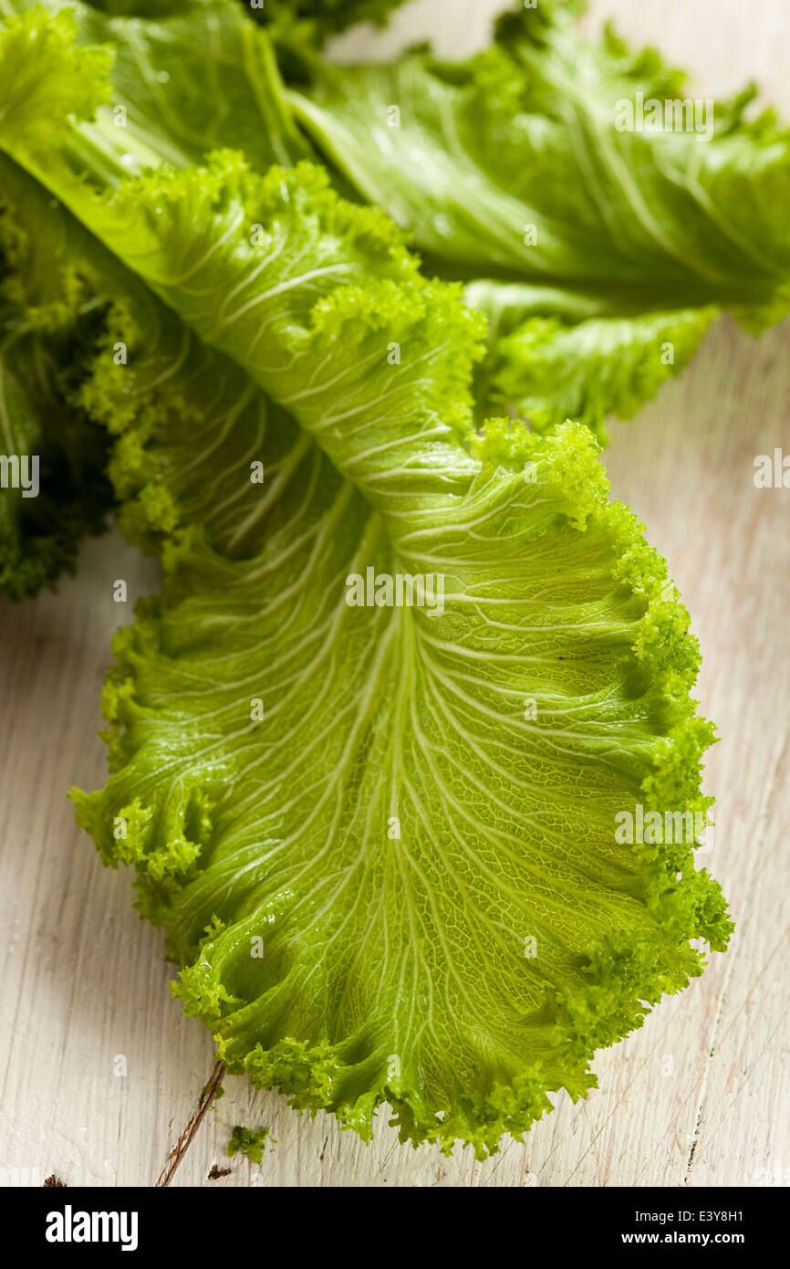 Organic Raw Mustard Greens on a Background Stock Photo Alamy
