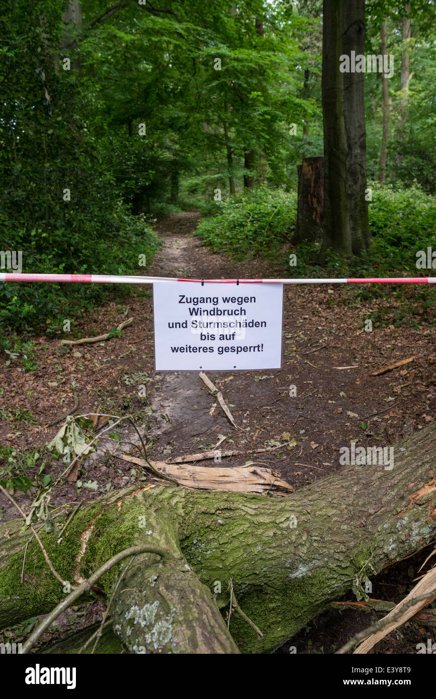 Forest Inaccessible A forest in Waltrop is inaccessible and closed after thunderstorm Ela ...