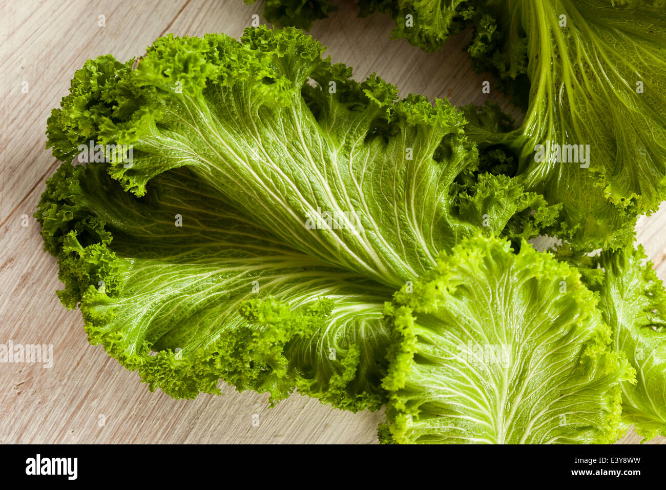 Organic Raw Mustard Greens on a Background Stock Photo Alamy