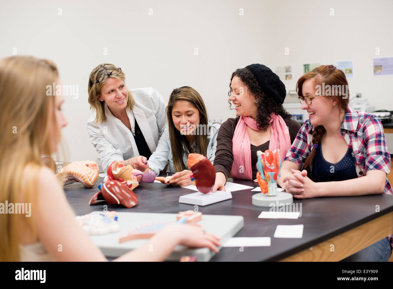 Anatomical models hires stock photography and images Alamy
