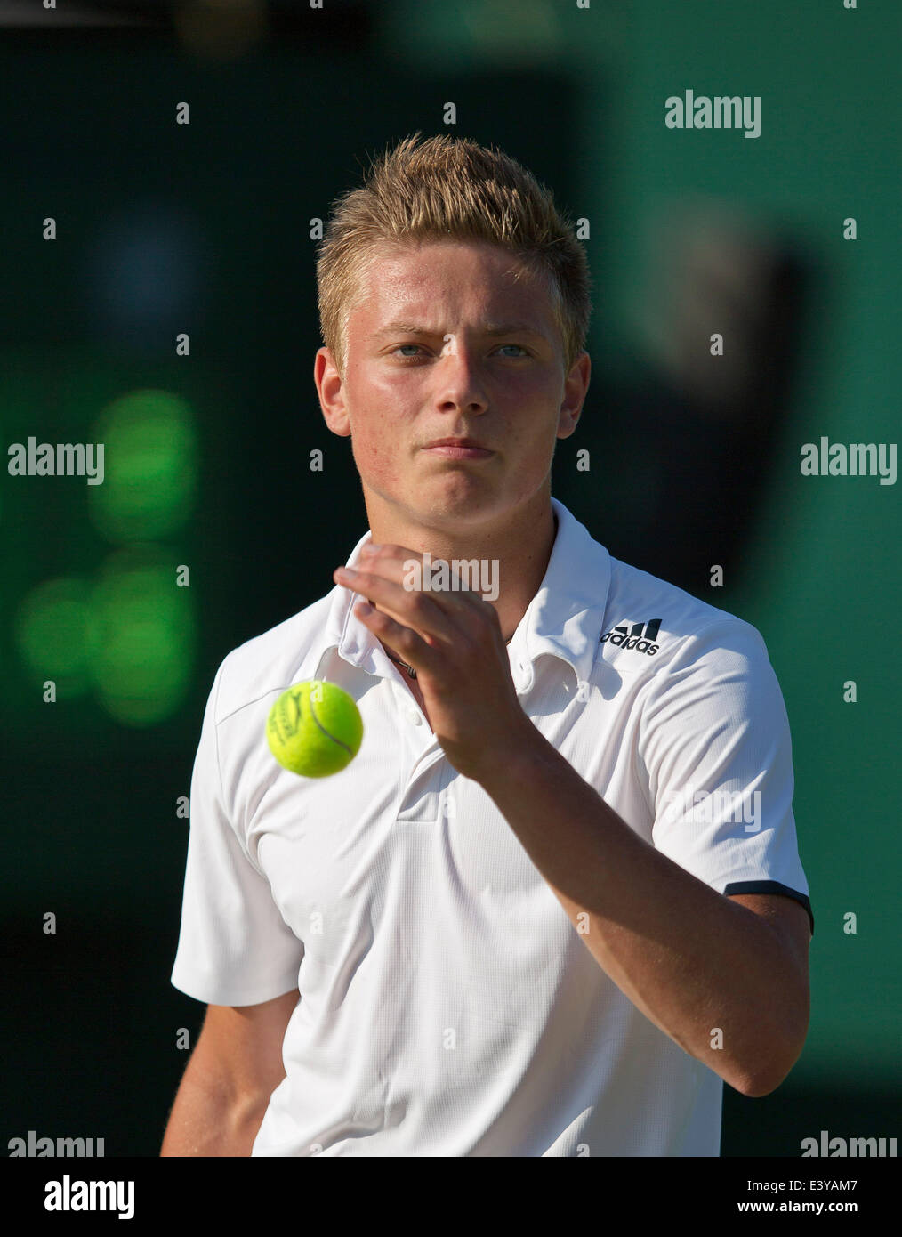 Tim van rijthoven hi-res stock photography and images - Alamy