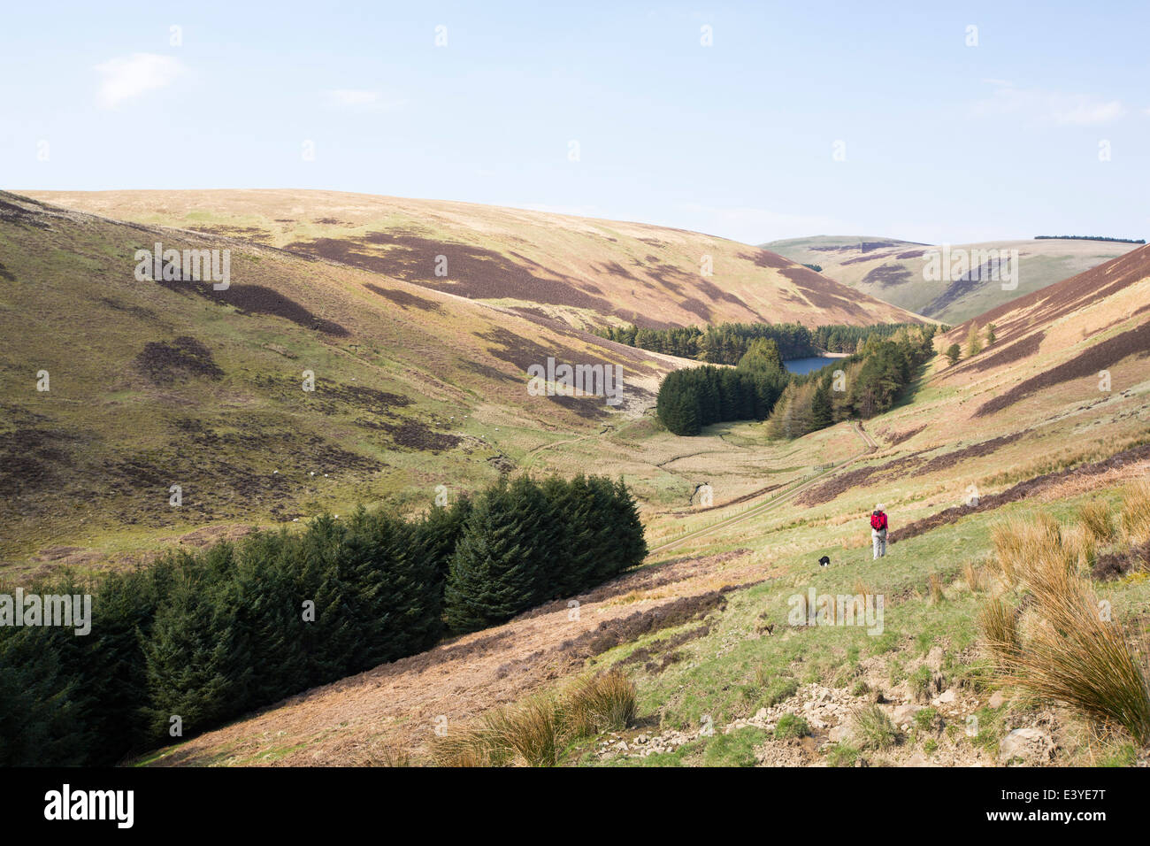 A women walking towards Cowgill lower reservoir in the Southern Uplands