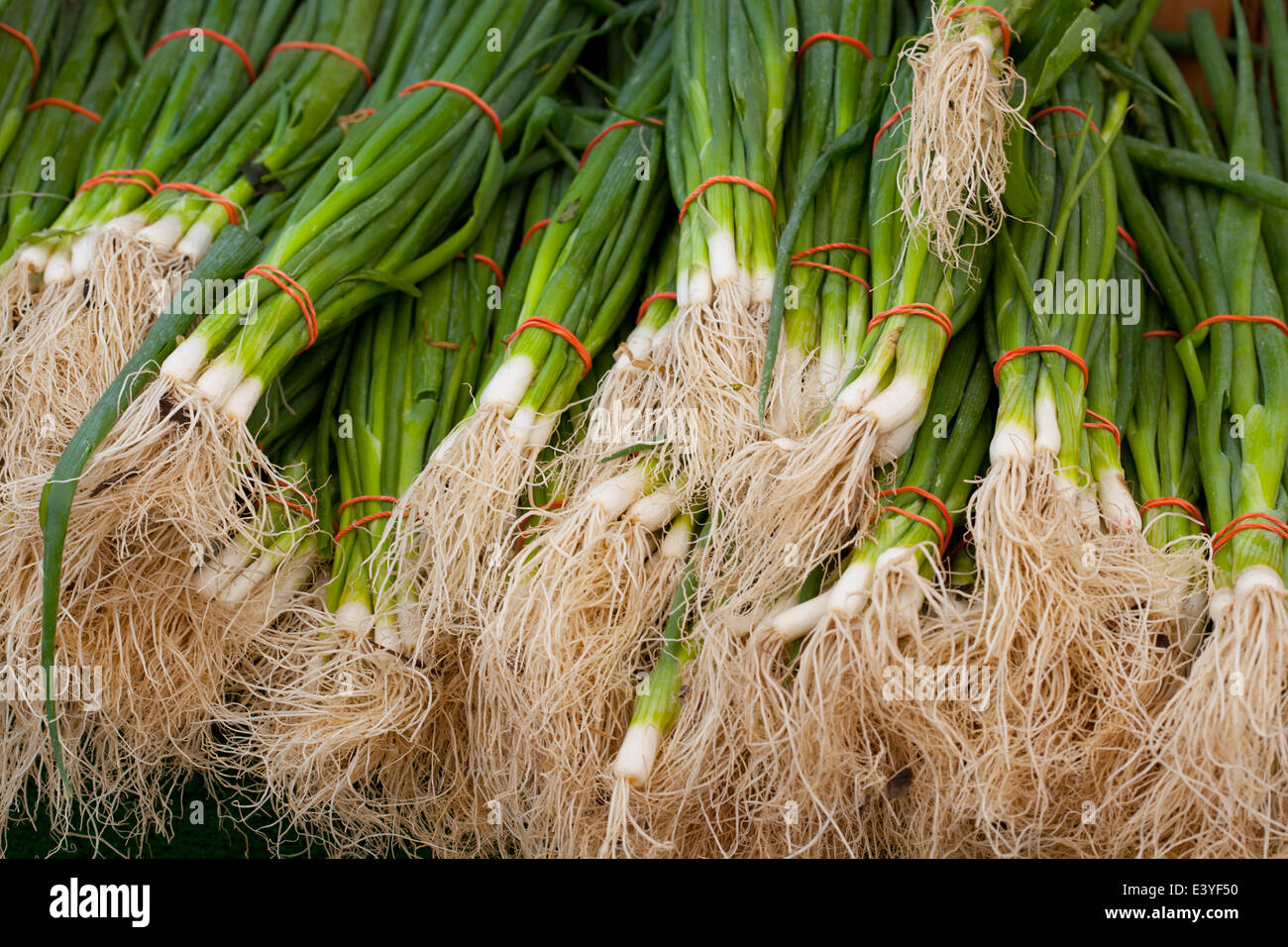 Green Onions at open market Stock Photo - Alamy