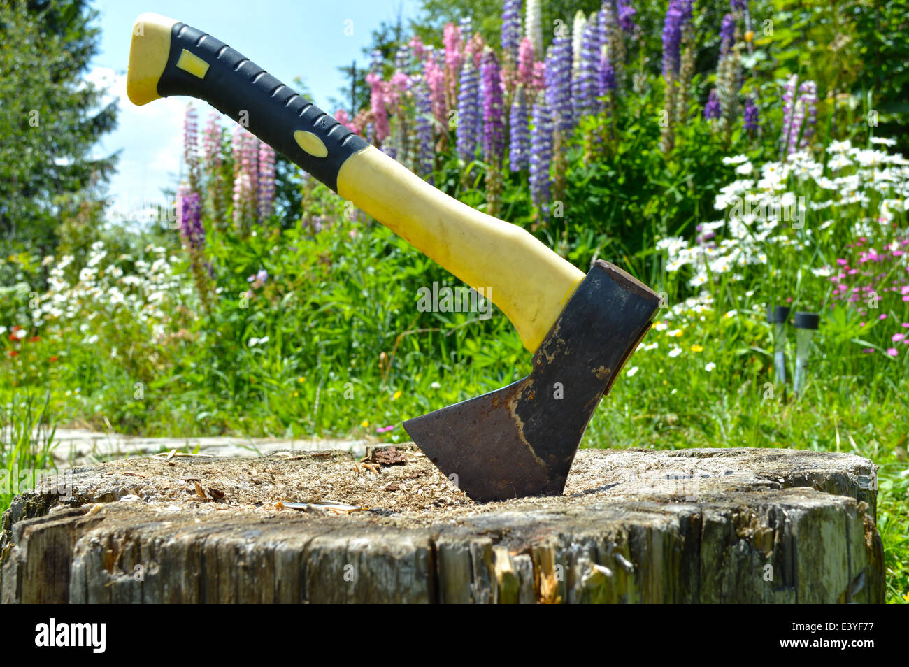 Axe in a log. With flower background Stock Photo