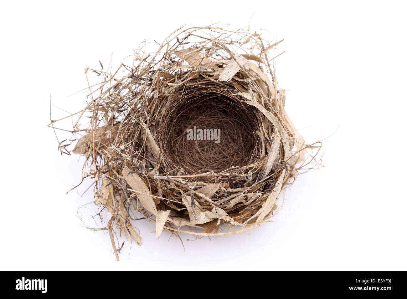 empty bird nest Stock Photo - Alamy