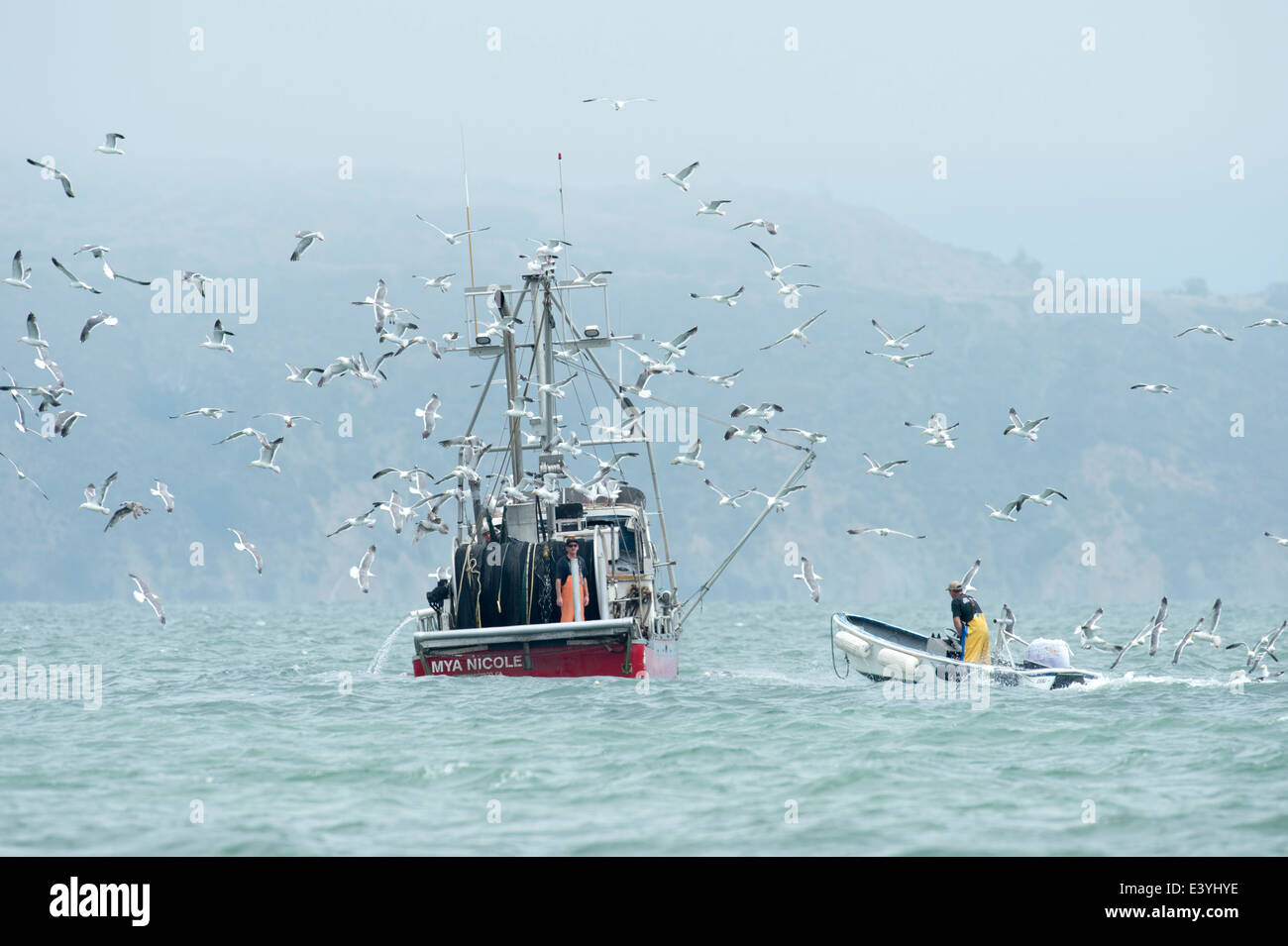Fishing boat on San Francisco bay. 18/7/2013 Stock Photo