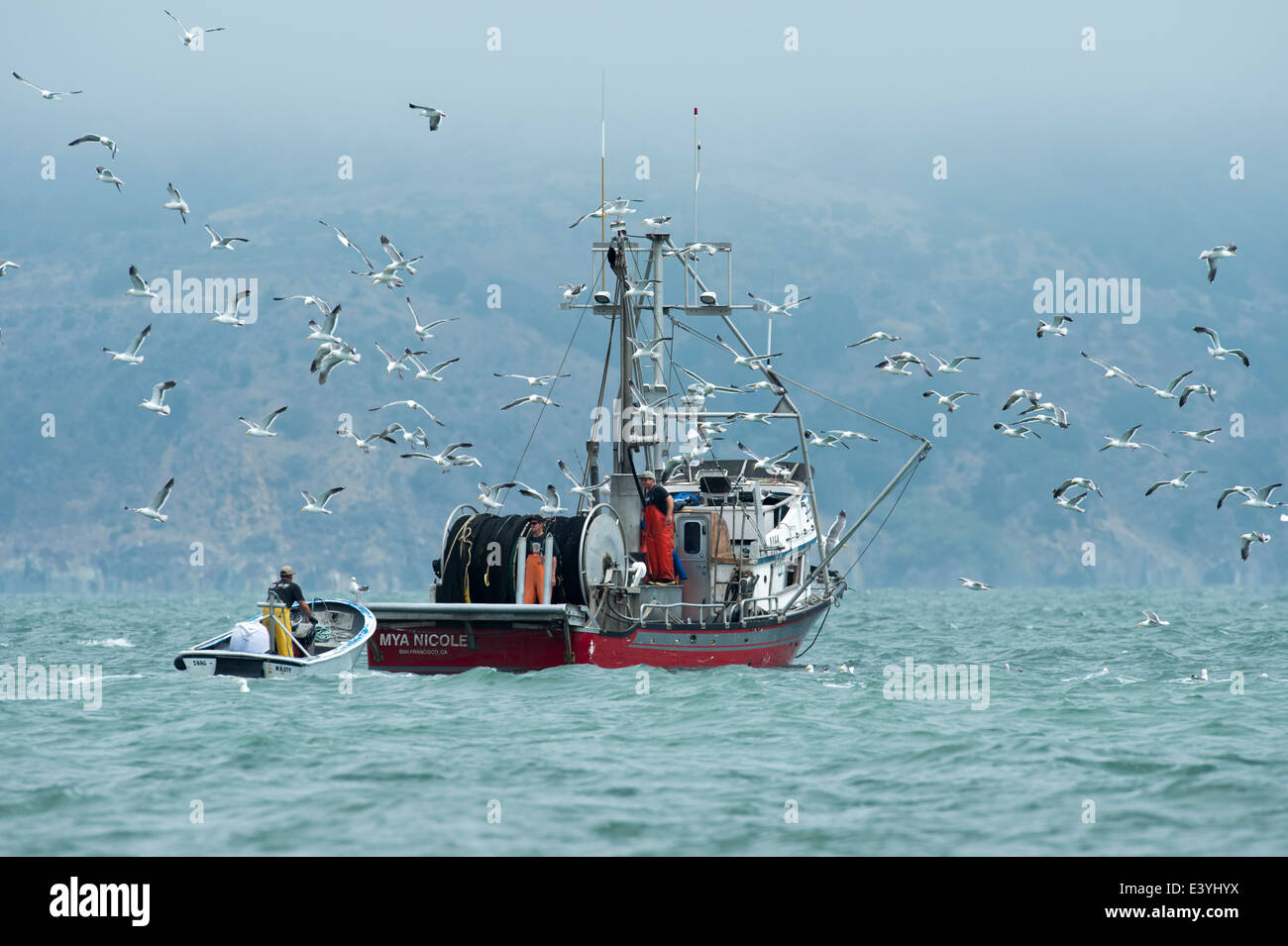 Fishing boat on San Francisco bay. 18/7/2013 Stock Photo