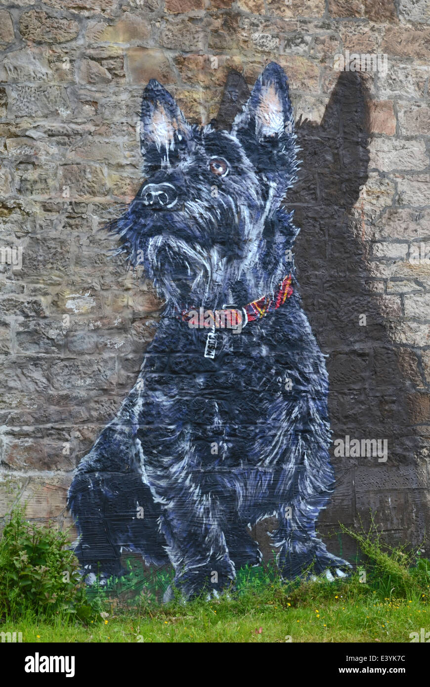 Bobbie, the big Scottie dog. Large graffiti dog painted on a gable end on the maryhill Road, Glasgow Stock Photo