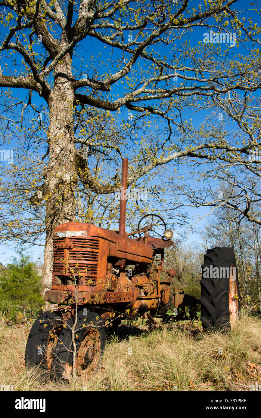 Antique Farmal tractor in the Ozark foothills of Arkansas. Stock Photo