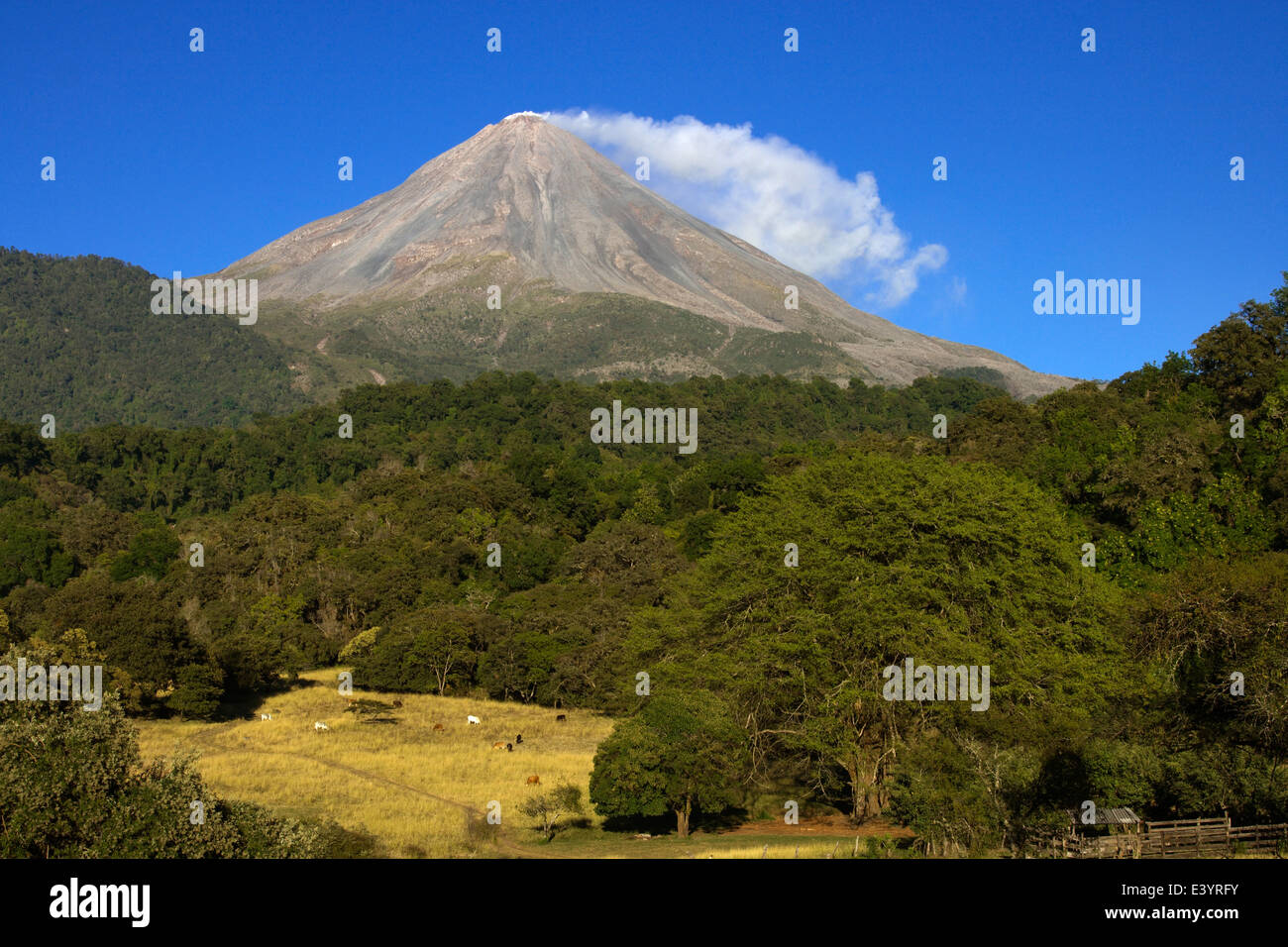 Camino a la Yerbabuena - Volcan Colima, Mexico Stock Photo