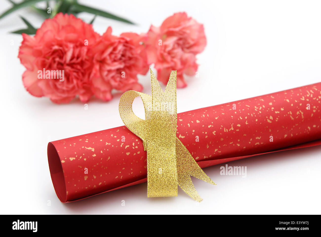 paper scroll with bow and carnation Stock Photo