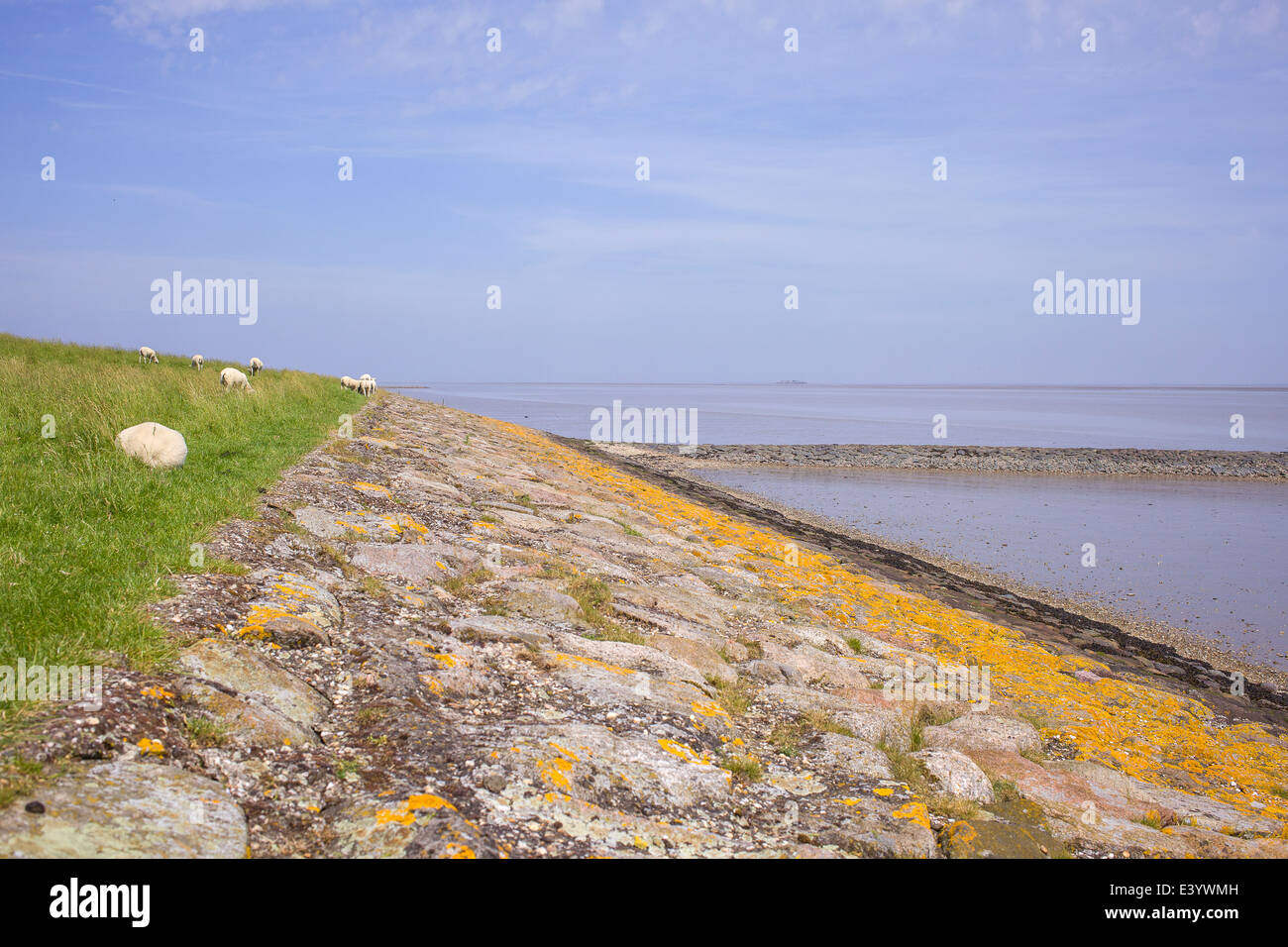 Dutch wide landscape with dike and blue sky and Waddensea Stock Photo