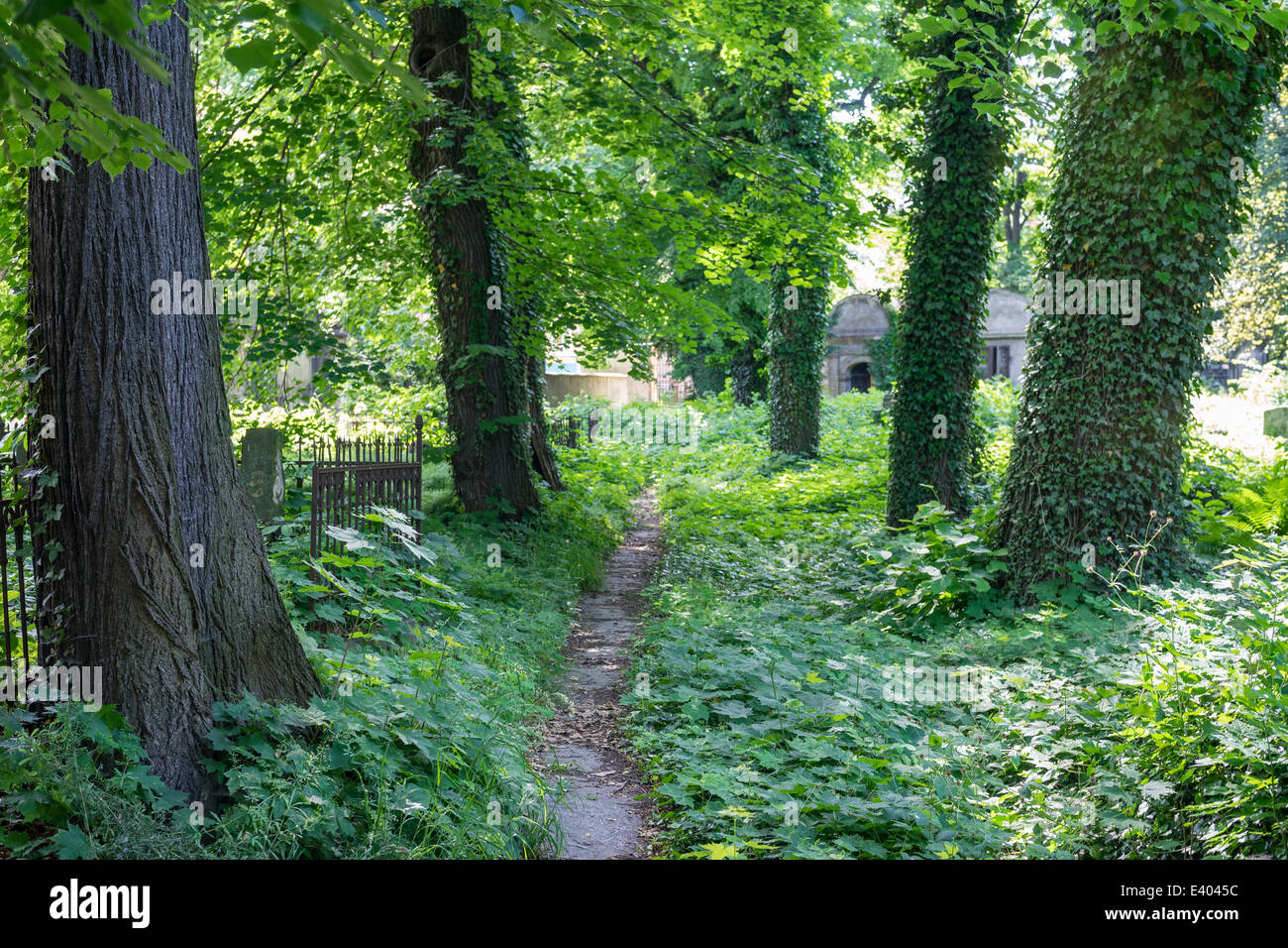 Old evangelic cemetery Temple of Peace Swidnica Stock Photo