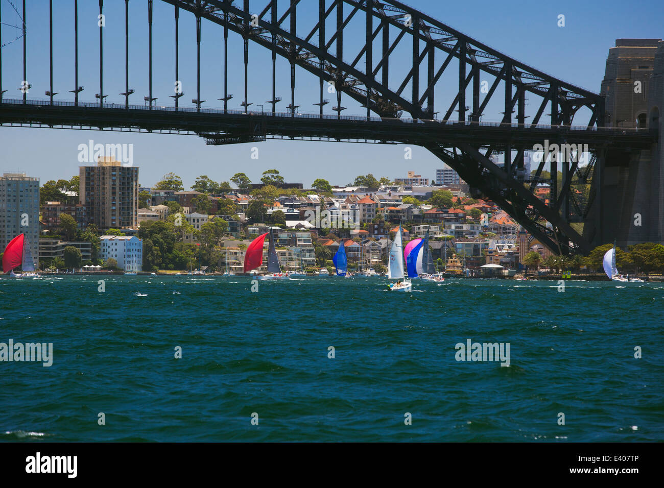 Sailing race under the Sydney Harbour Bridge Stock Photo Alamy