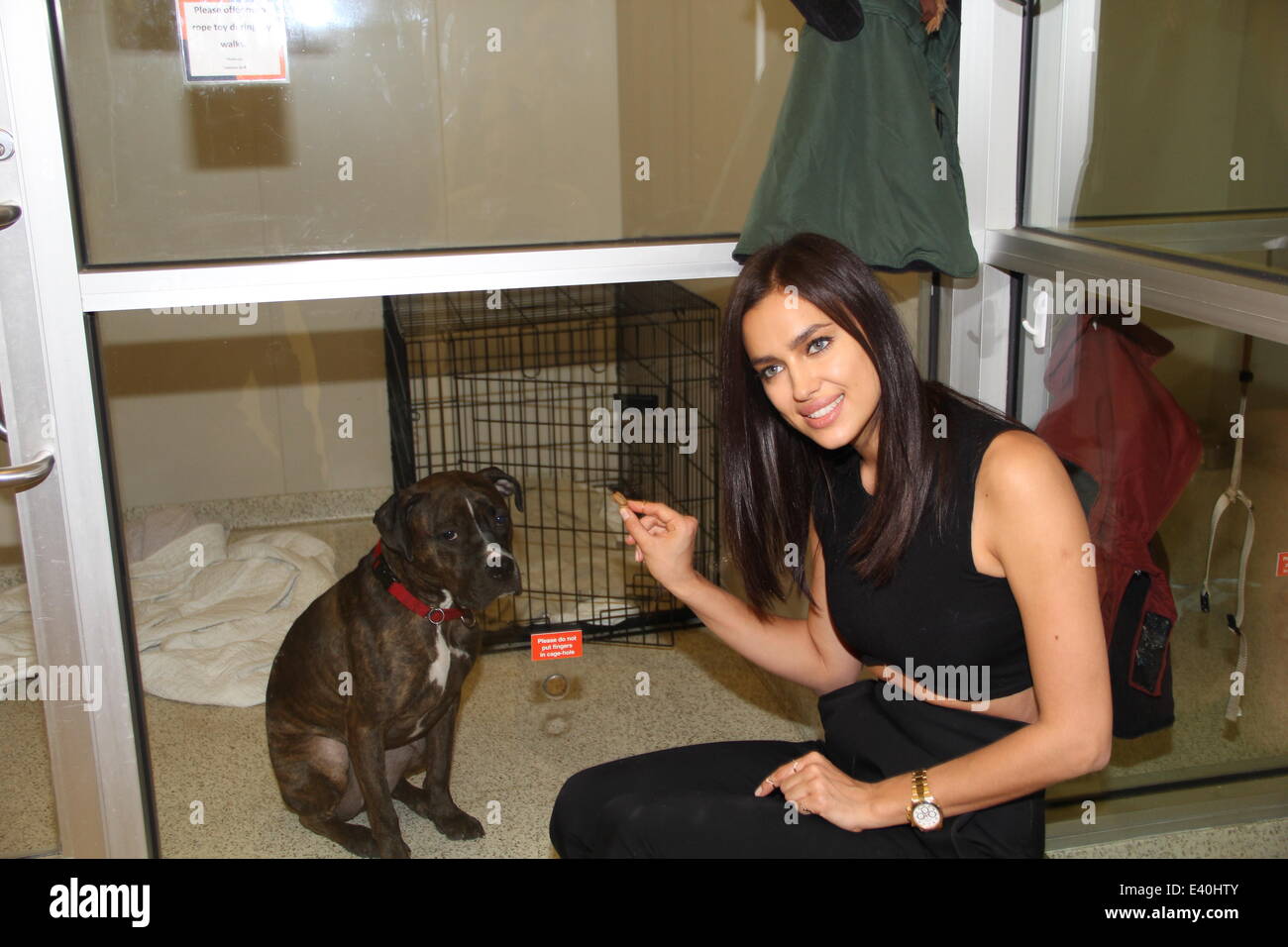 Supermodel Irina Shayk At The Aspca S Adoption Center Featuring Irina Shayak Where New York City New York United States When 10 Dec 13 Stock Photo Alamy