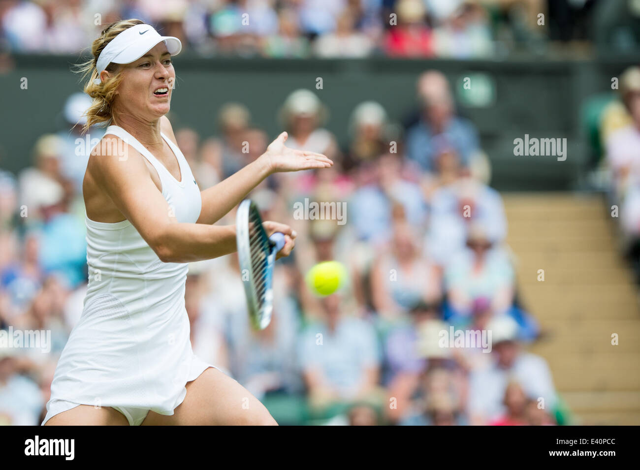 Wimbledon, London, UK. 1st July, 2014. Tennis: Wimbledon Championship 2014, Maria Sharapova of Russia during her Ladies' Singles fourth round match against Angelique Kerber of Germany on day eight of the Wimbledon Lawn Tennis Championships at the All England Lawn Tennis and Croquet Club at Wimbledon on July 1, 2014, London, England. Credit:  dpa picture alliance/Alamy Live News Stock Photo