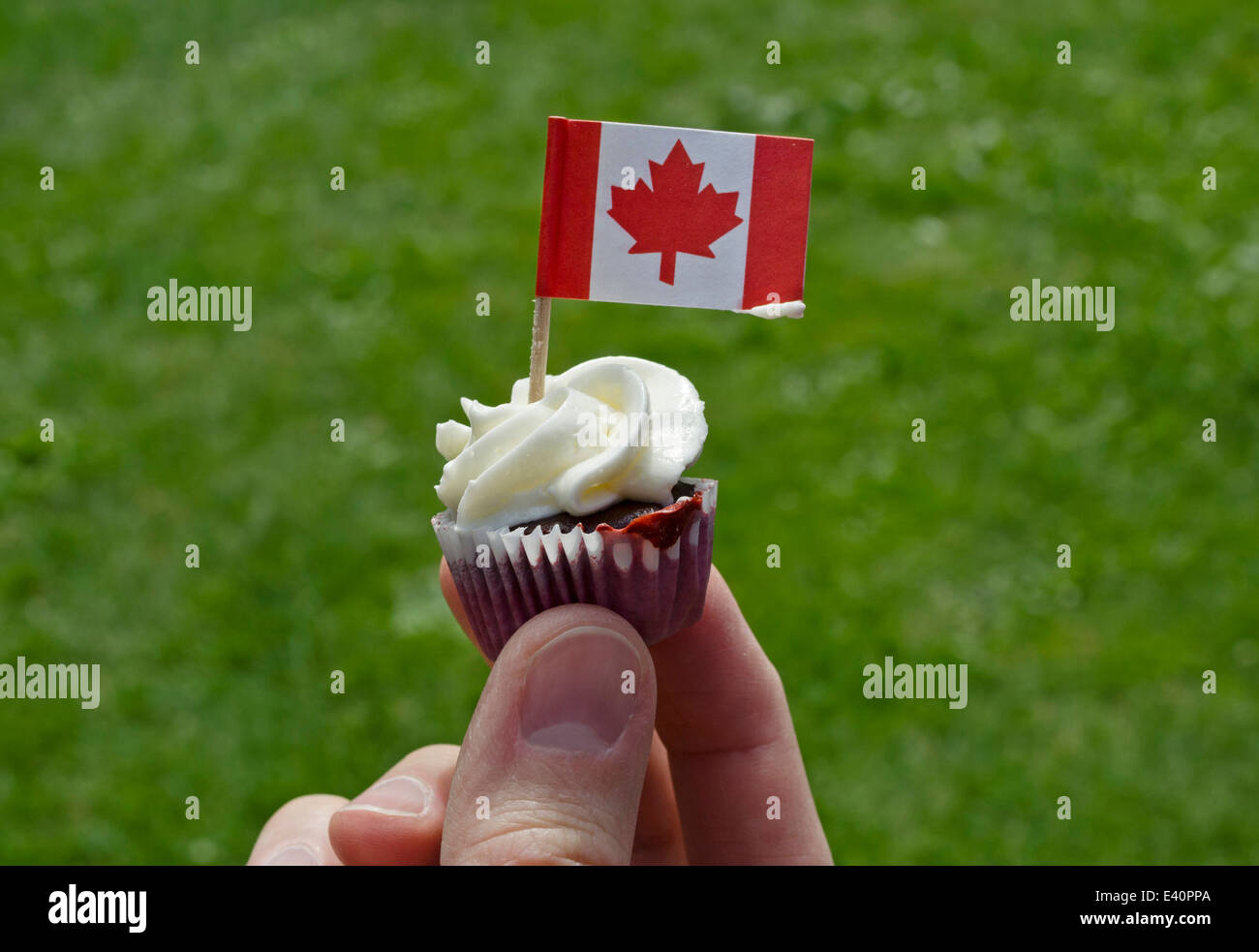 Mini cupcake with Canadian flag to celebrate Canada Day. Stock Photo