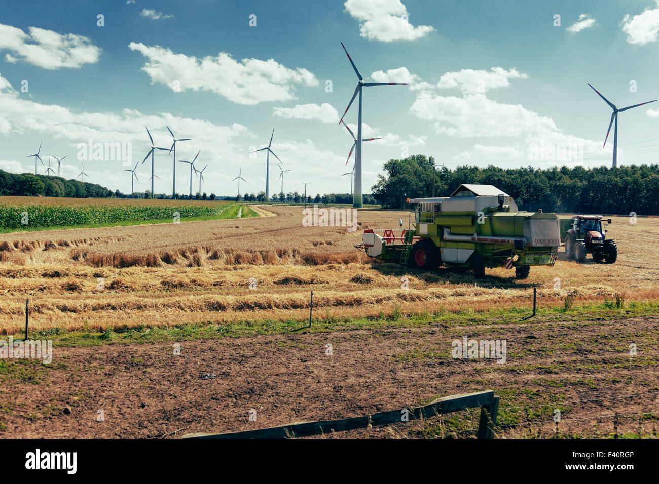 Germany, North Rhine-Westphalia, Sassenberg, Harvester in field, wind wheels in background Stock Photo