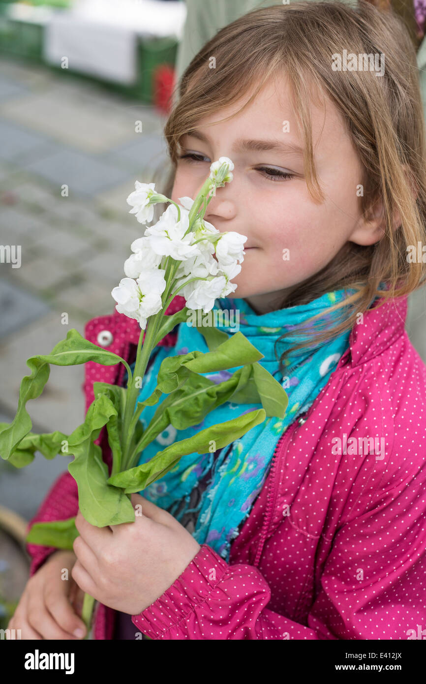 Little girl sniffing at stock, Matthiola, on weekly market Stock Photo