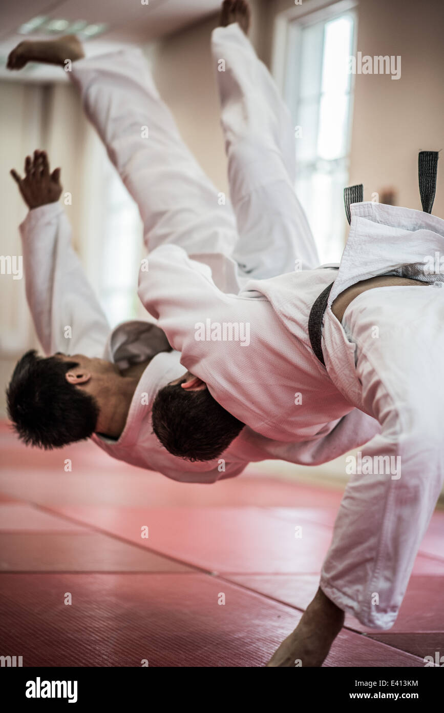Jitsu hires stock photography and images Alamy