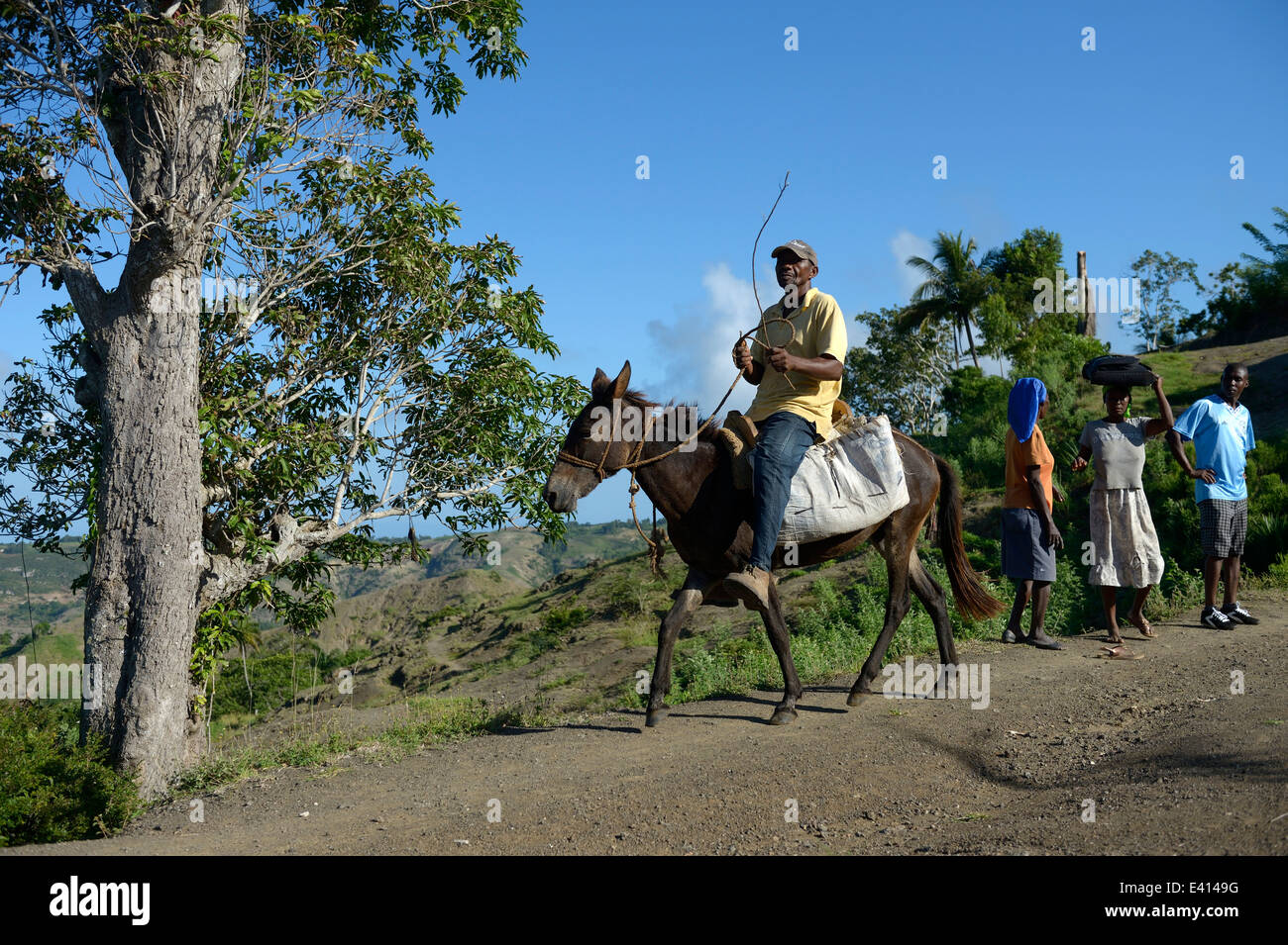 Antilles, Haiti, Leogane, Village Morin, man riding on donkey Stock Photo